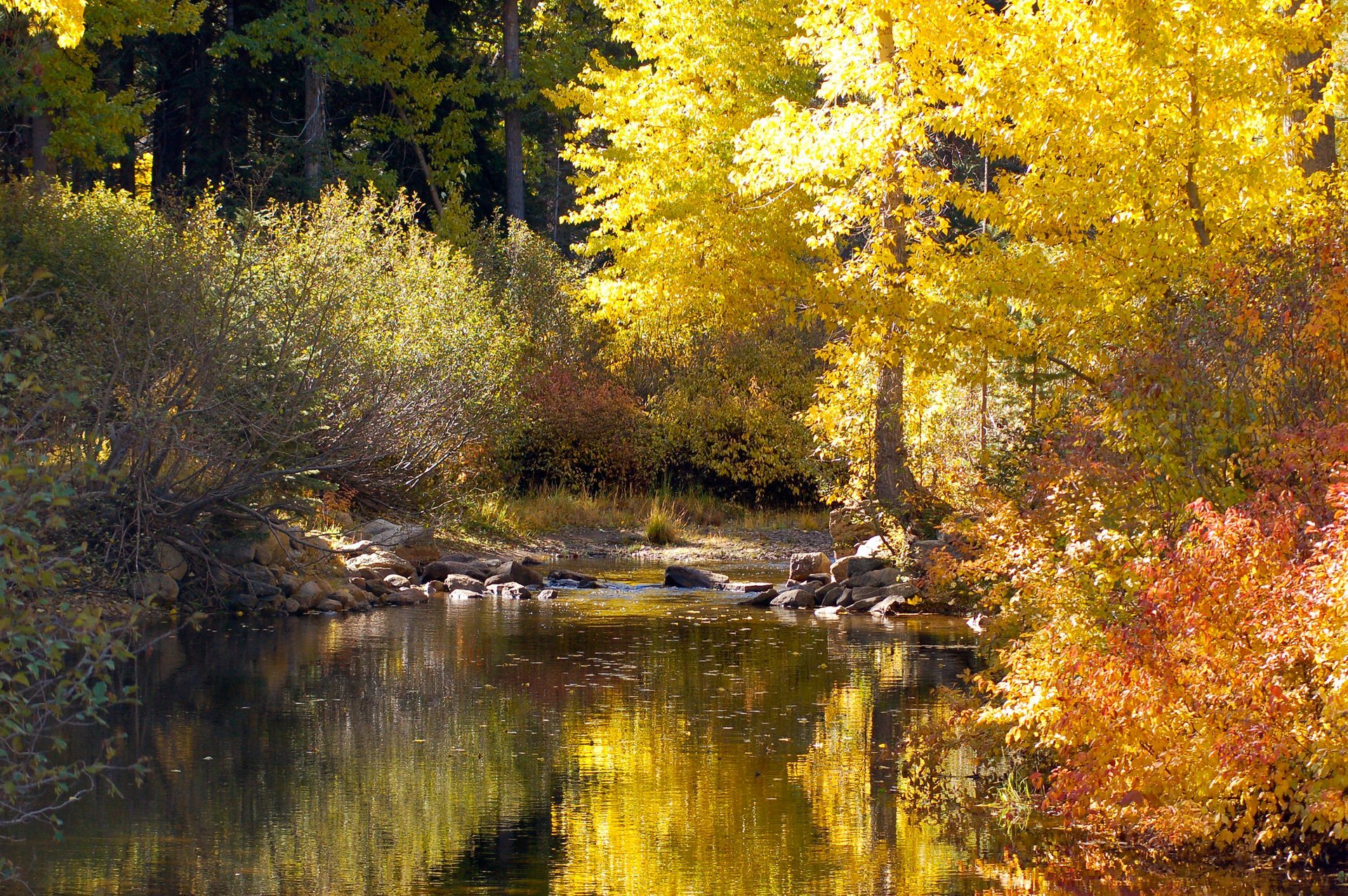 Los colores del otoño del lago Tahoe
