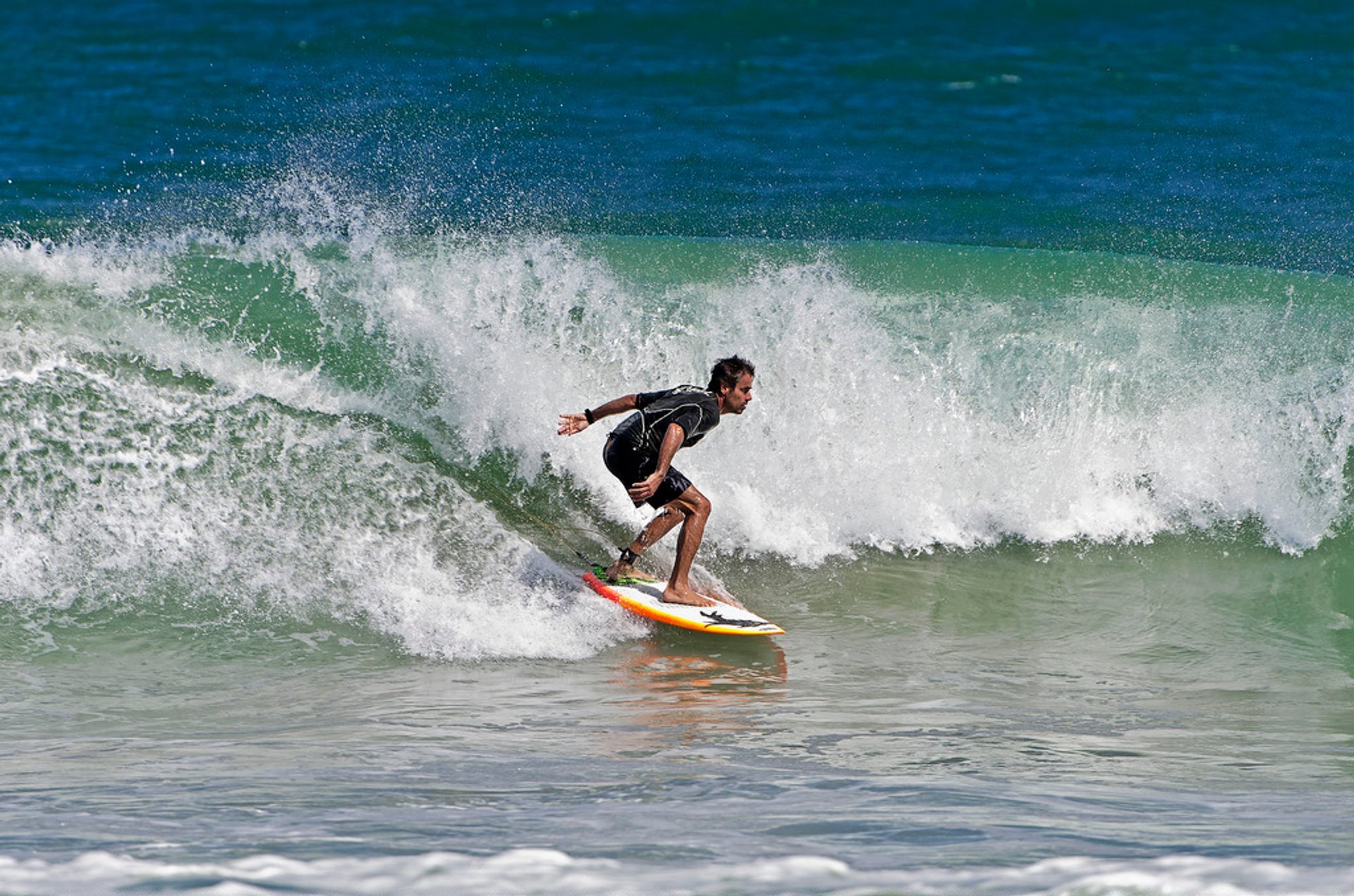 Surfen oder Wellenreiten