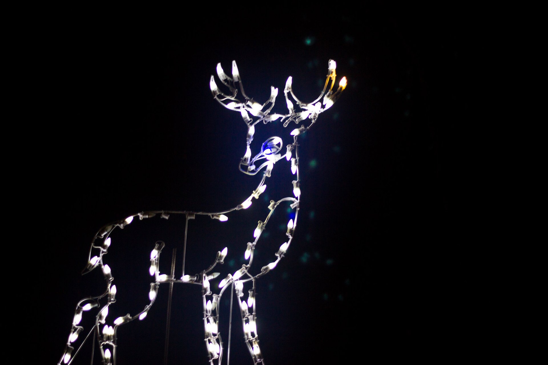 Elk Gets Christmas Lights 2022 Christmas Lights In Alabama 2022-2023 - Dates