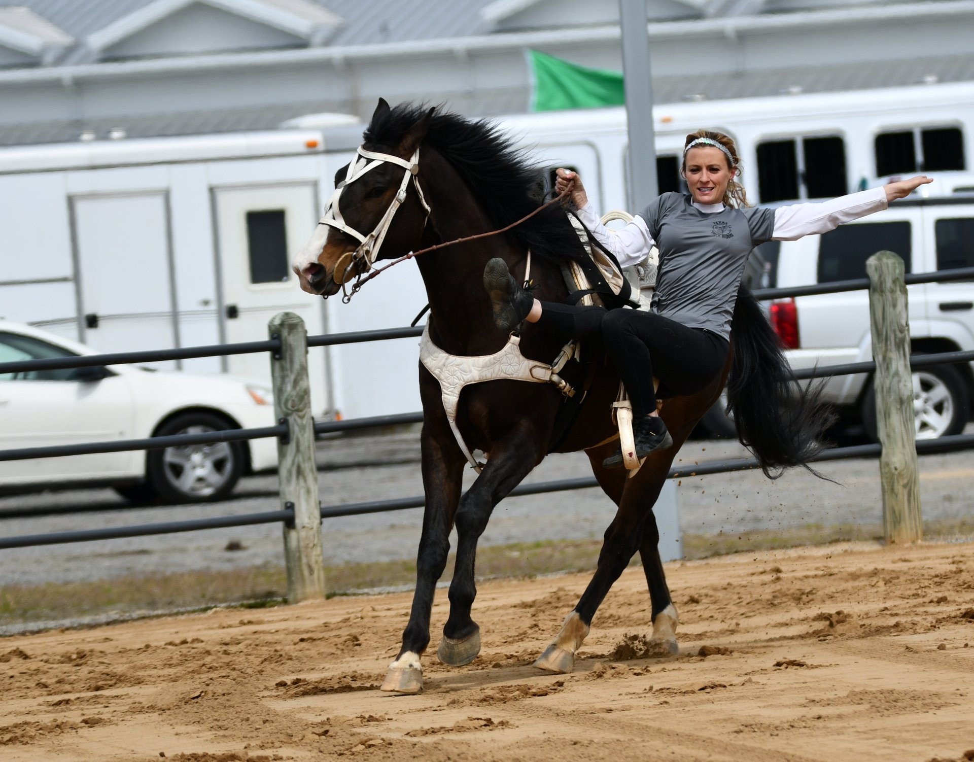 Virginia Horse Festival