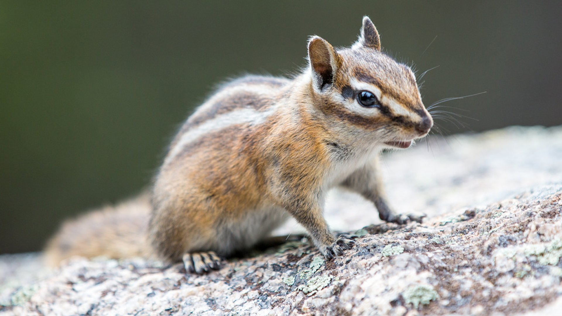 Senderismo en el Rocky Mountain National Park