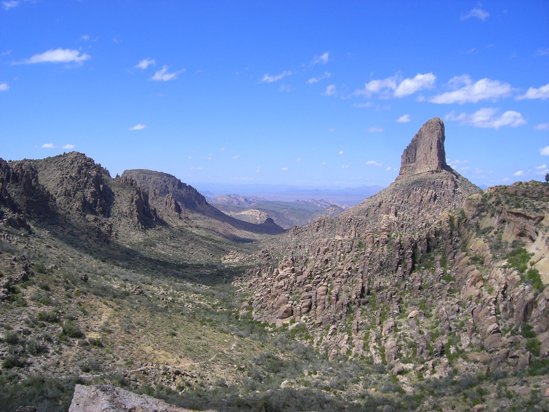 Weavers Needle in Arizona 2024-2025 - Rove.me