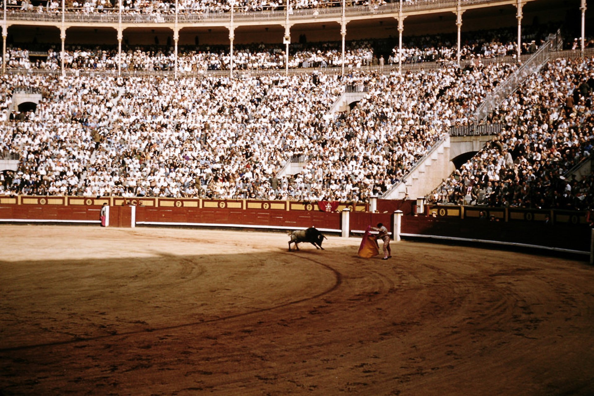 Bullfighting Season