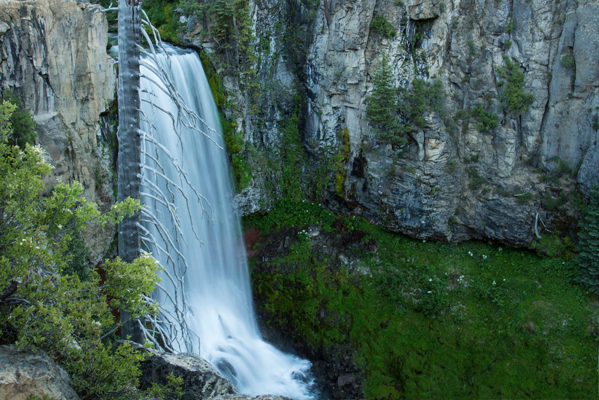 Randonnée pédestre du Tumalo Falls