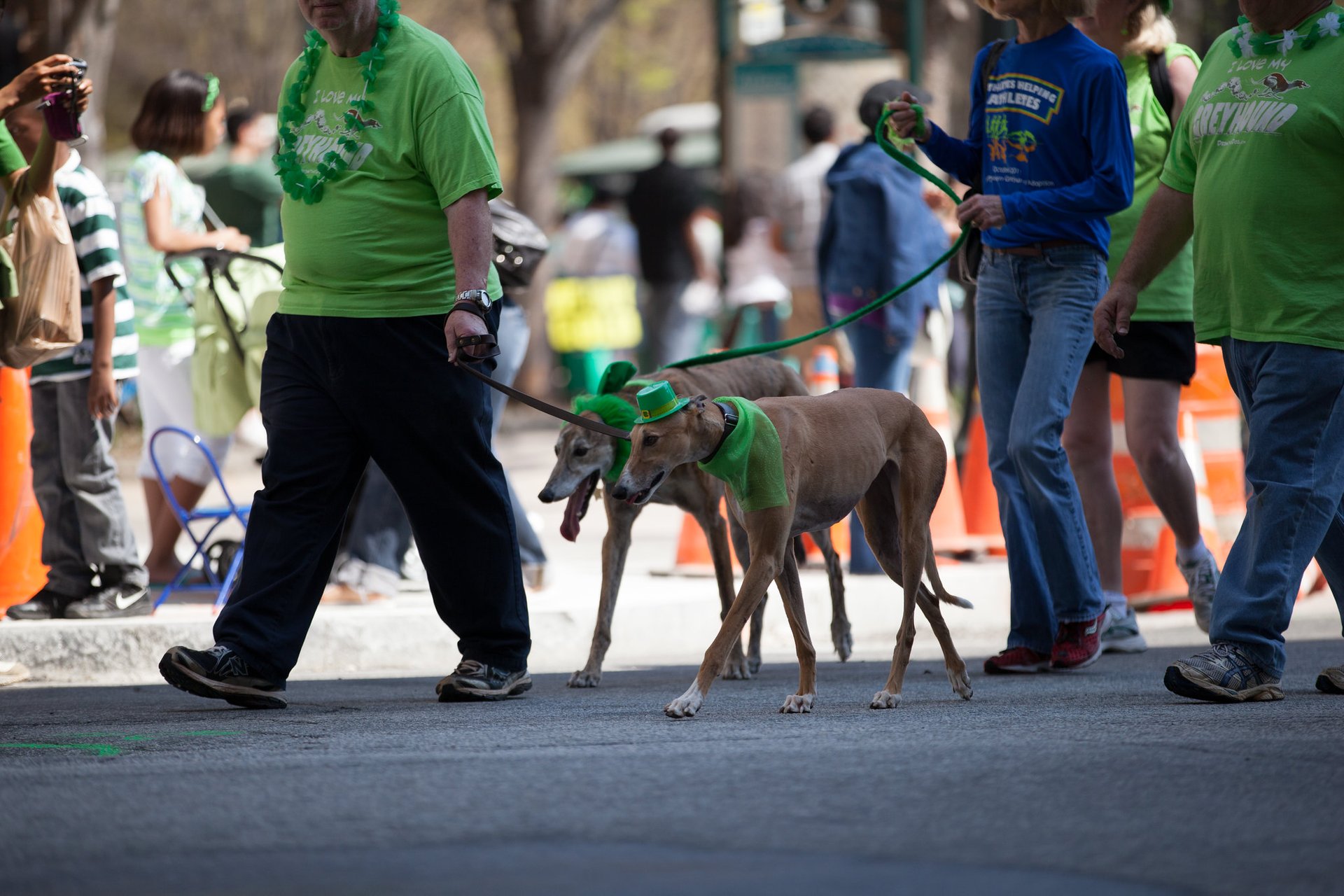 Atlanta St. Patrick’s Parade & Events