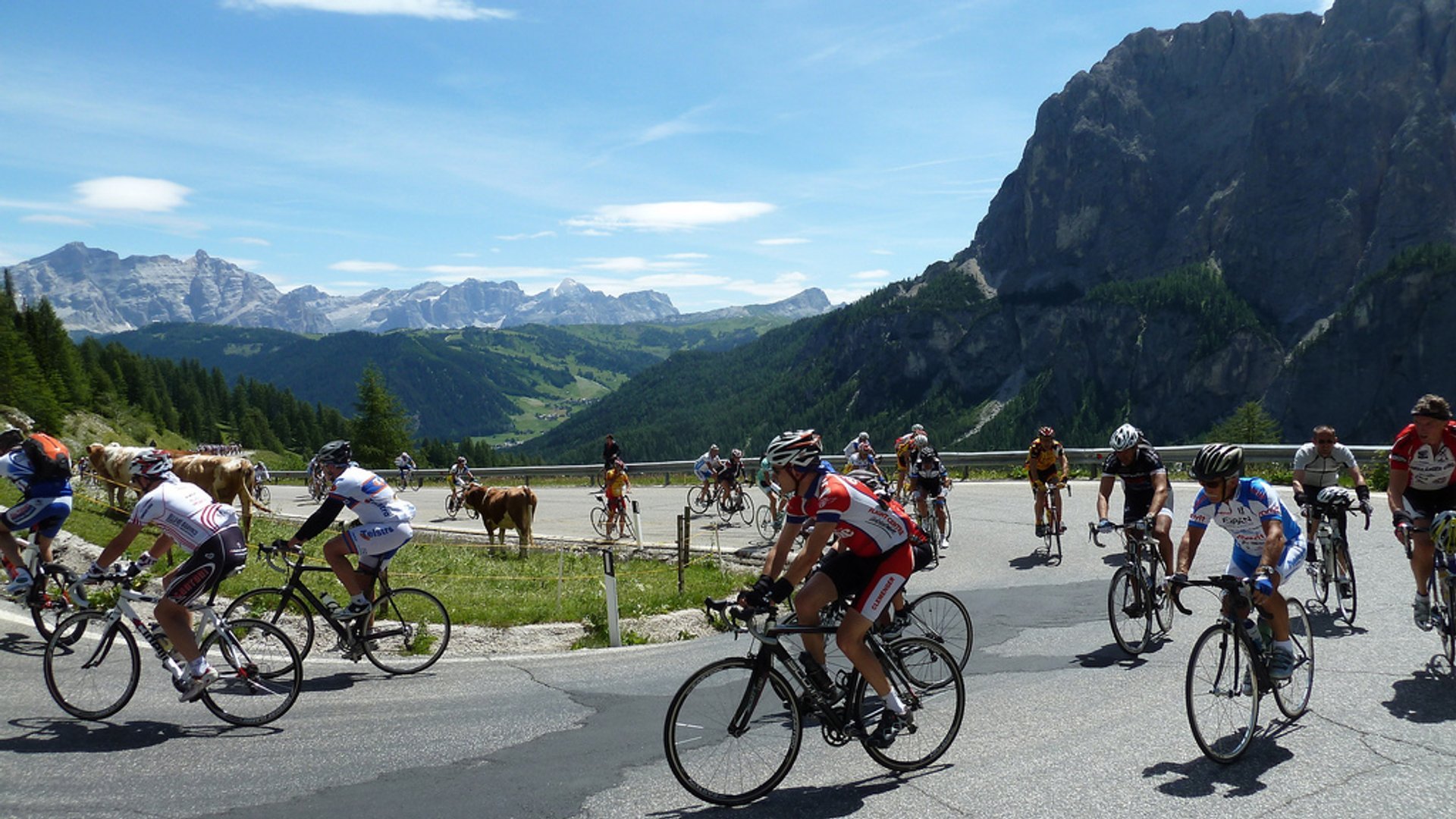 Stelvio Bike Day (Scalata Cima Coppi)