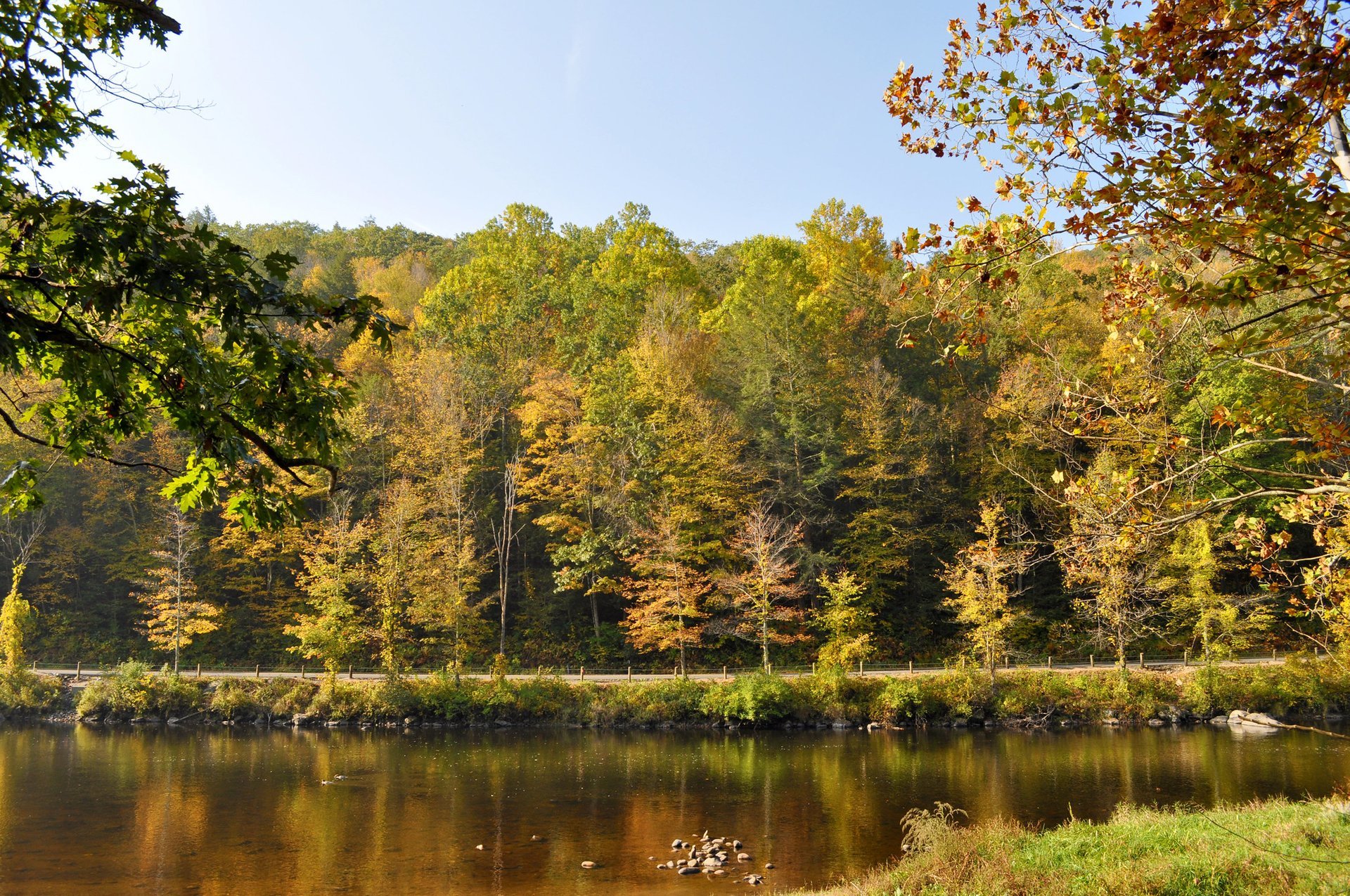 Connecticut Fall Foliage 