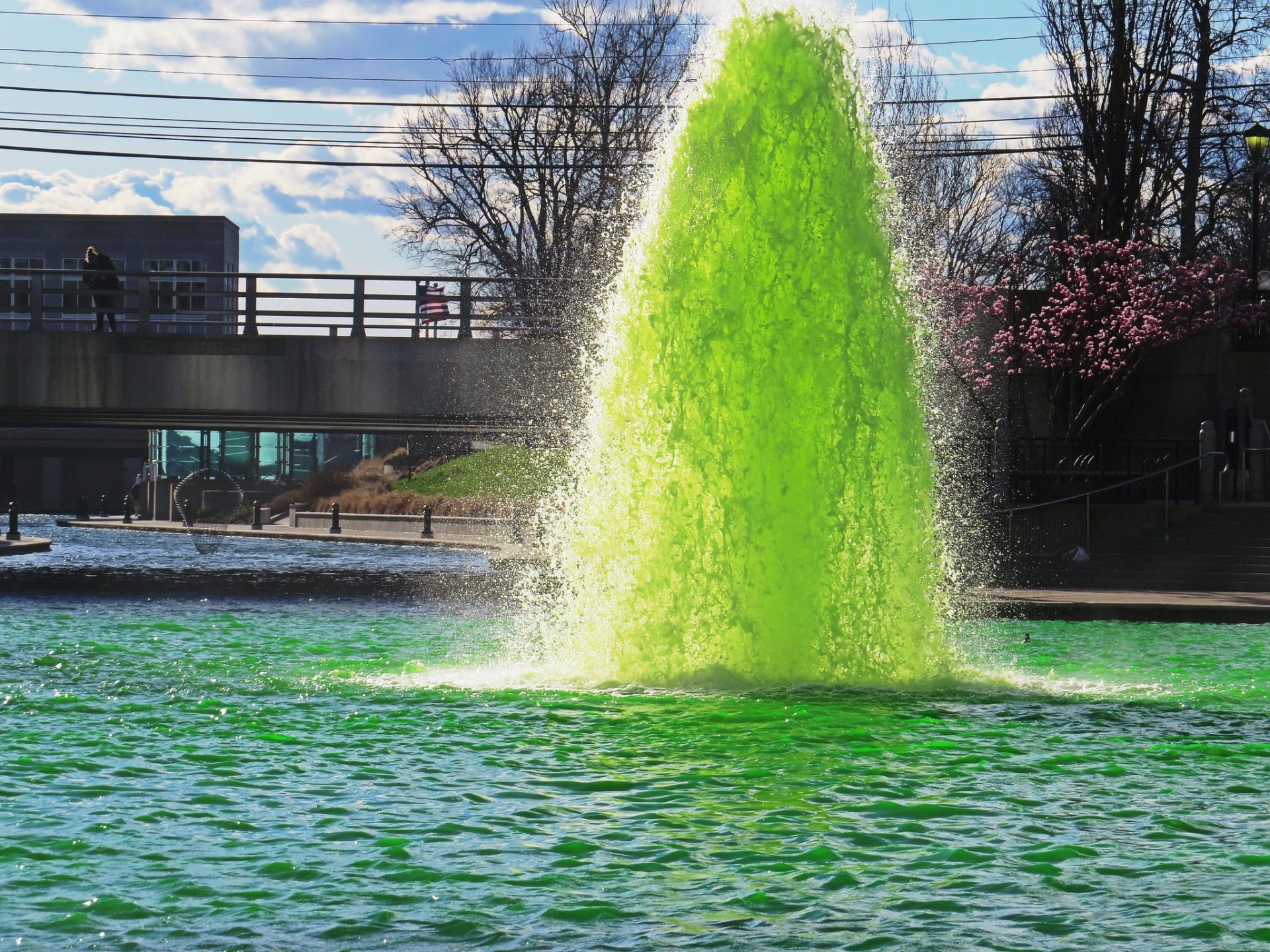 Jour de la Saint-Patrick