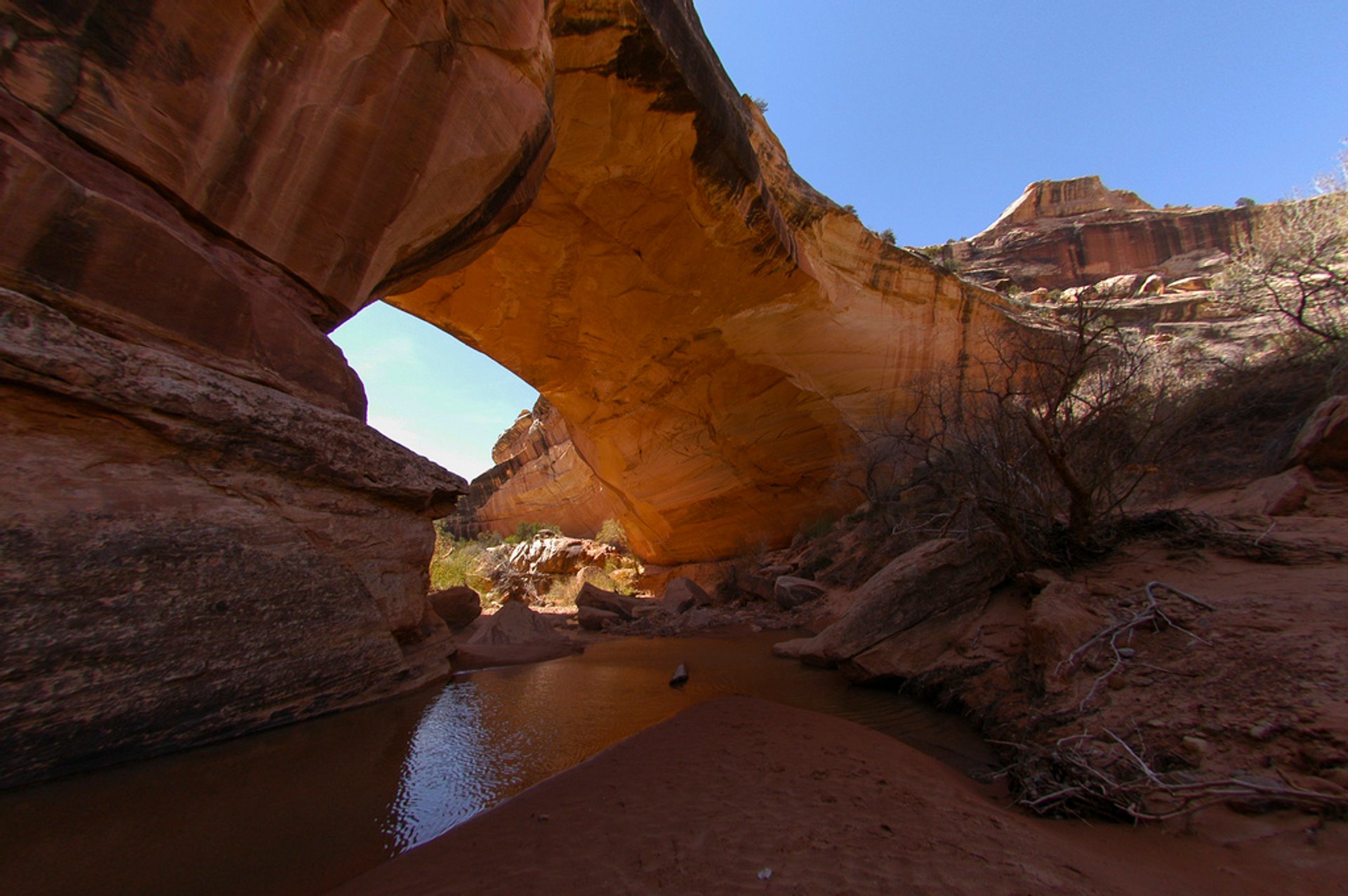 Natural Bridges National Monument