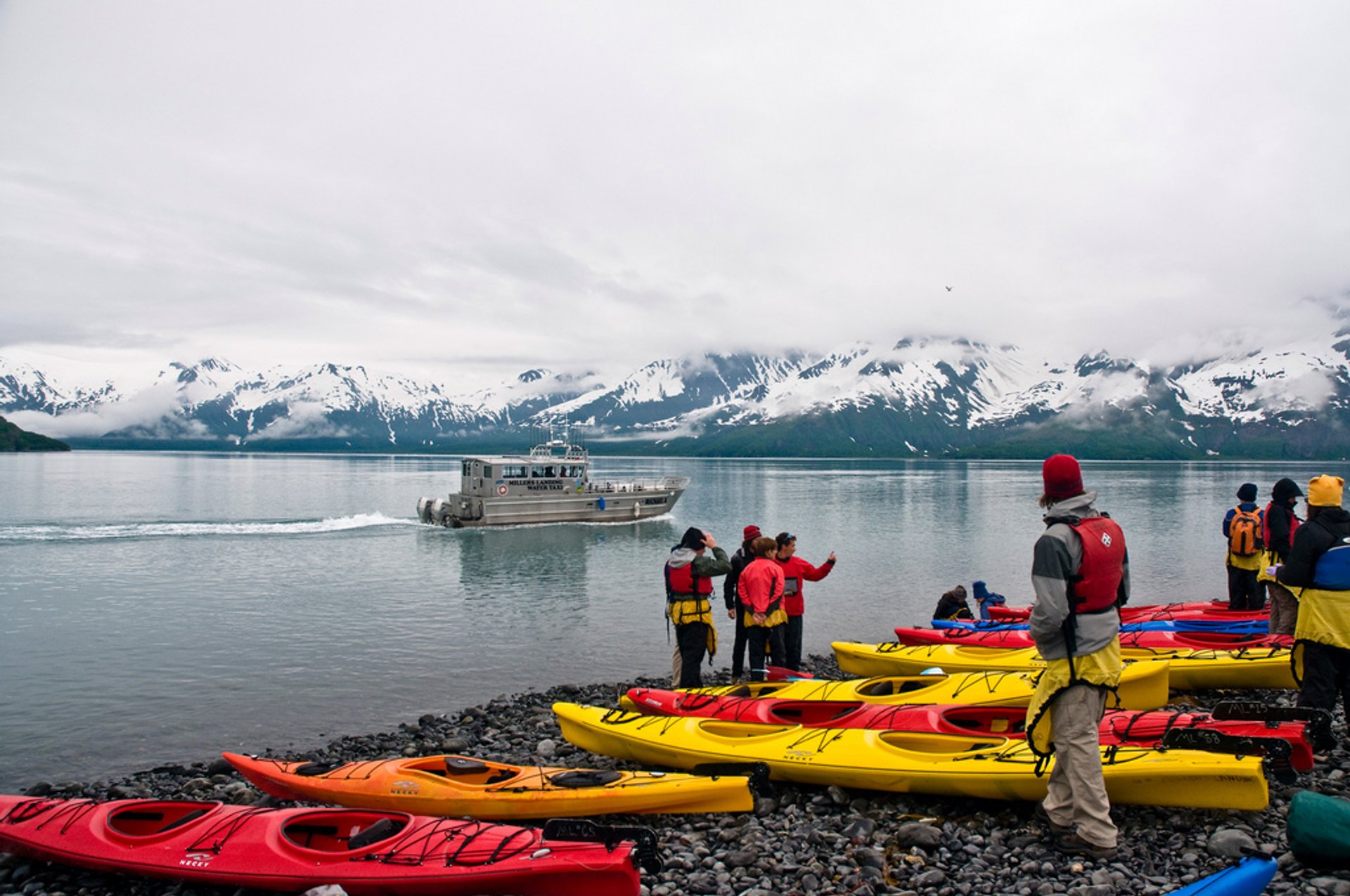 Kayak en los fiordos de Kenai