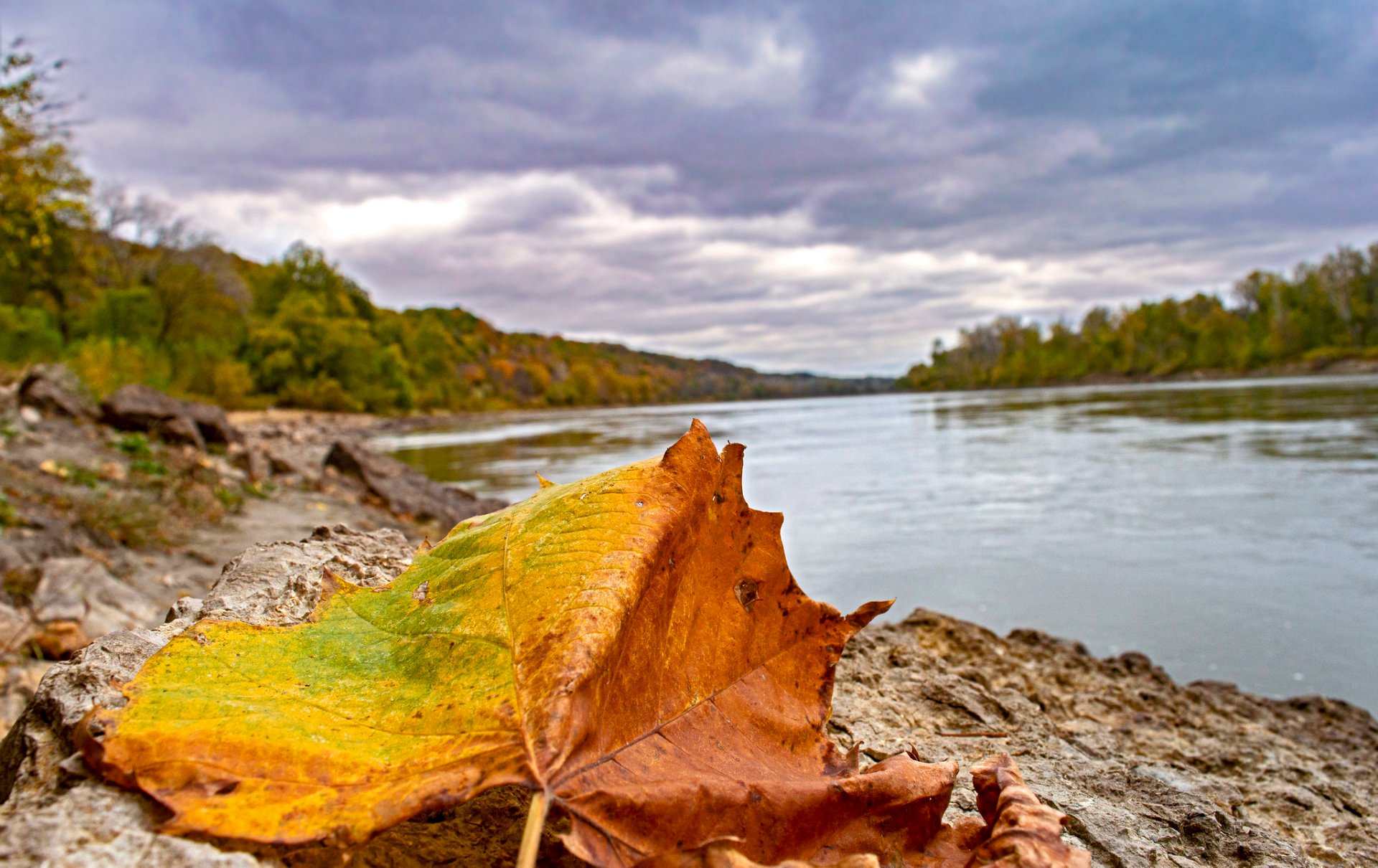 Colores de otoño