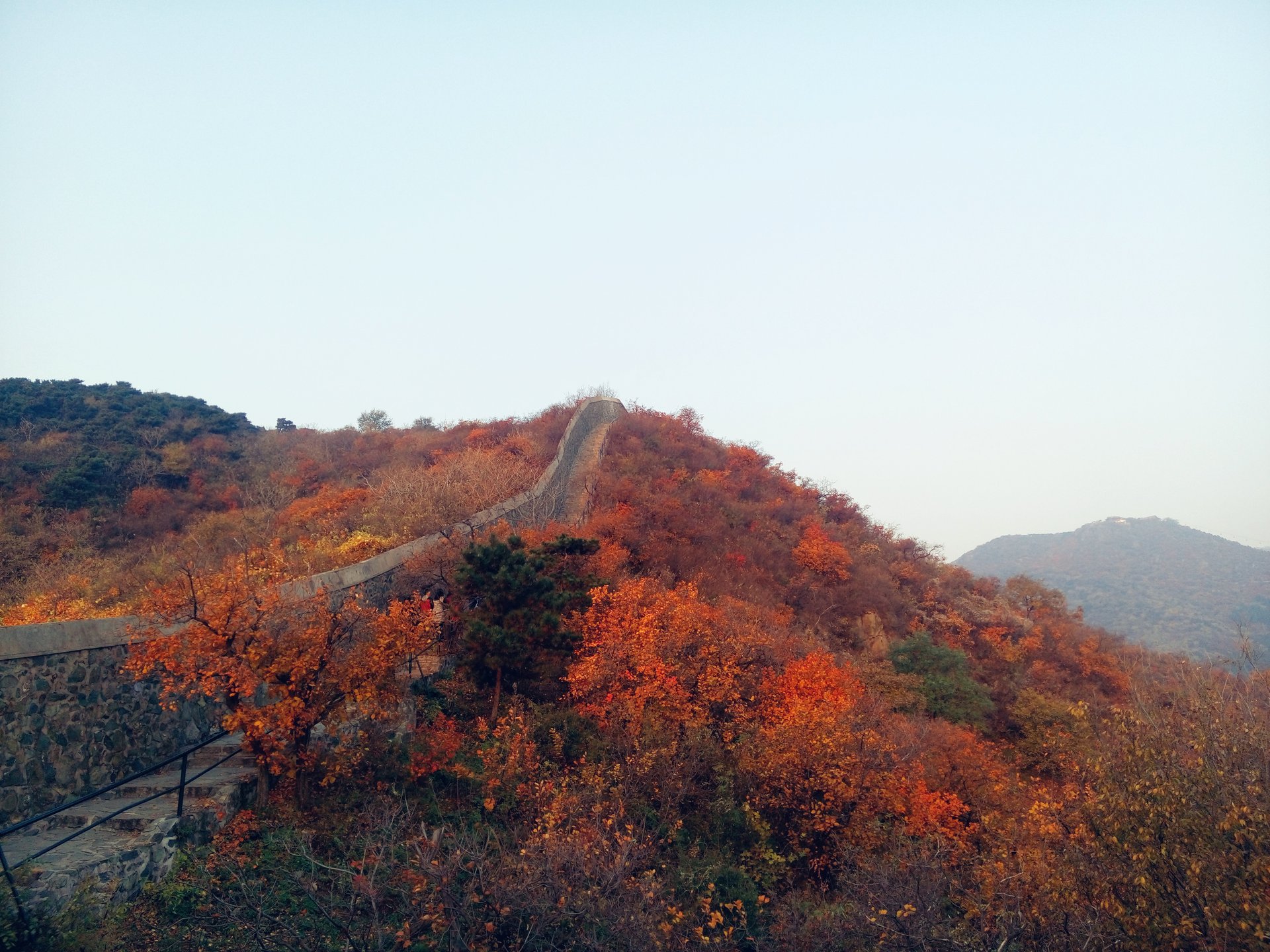 Festival des feuilles rouges à Fragrant Hill