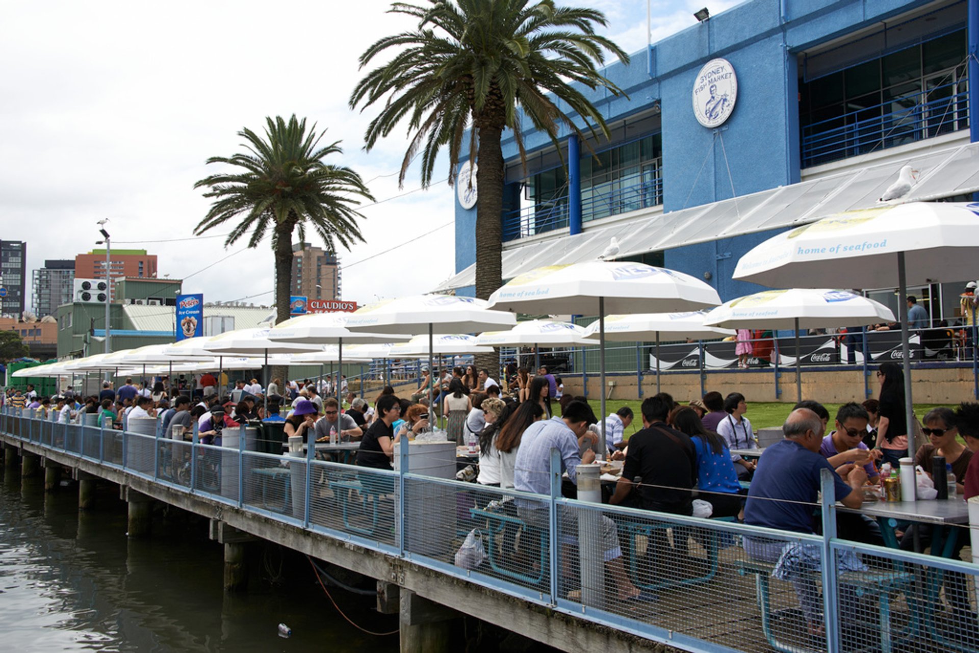 visit sydney fish market