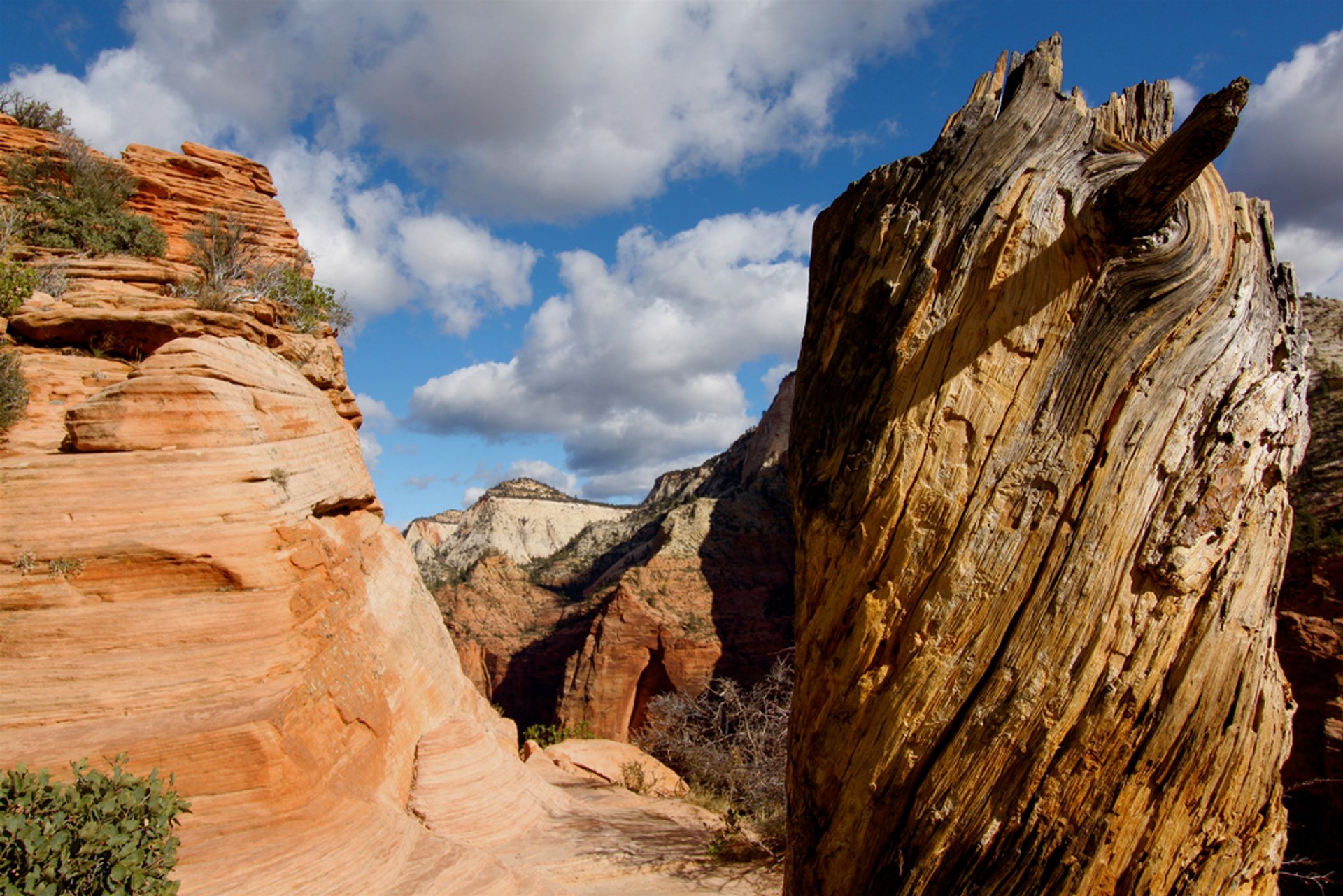 Best time for Angels Landing in Utah 2023 - Best Season - Rove.me