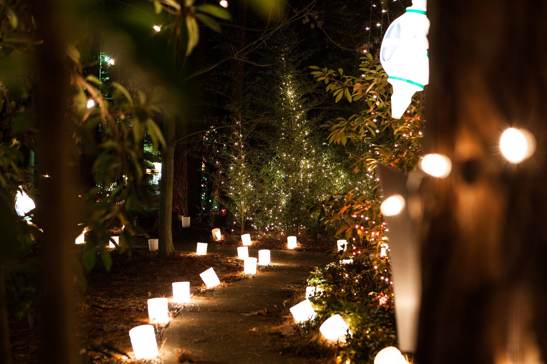 Luzes de Natal