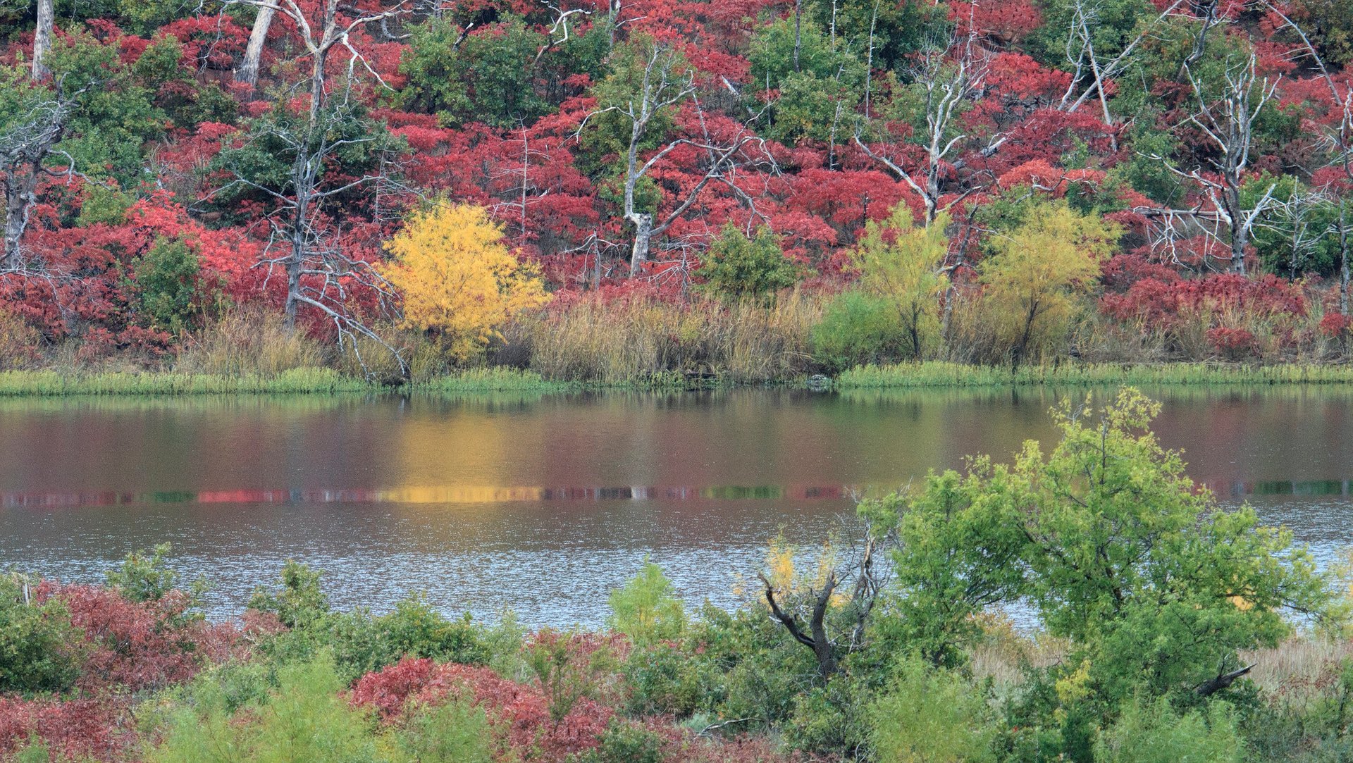 Colores de otoño en Oklahoma