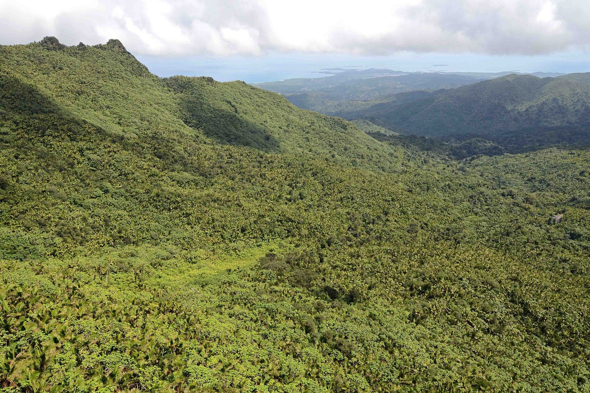 Forêt nationale d'El Yunque