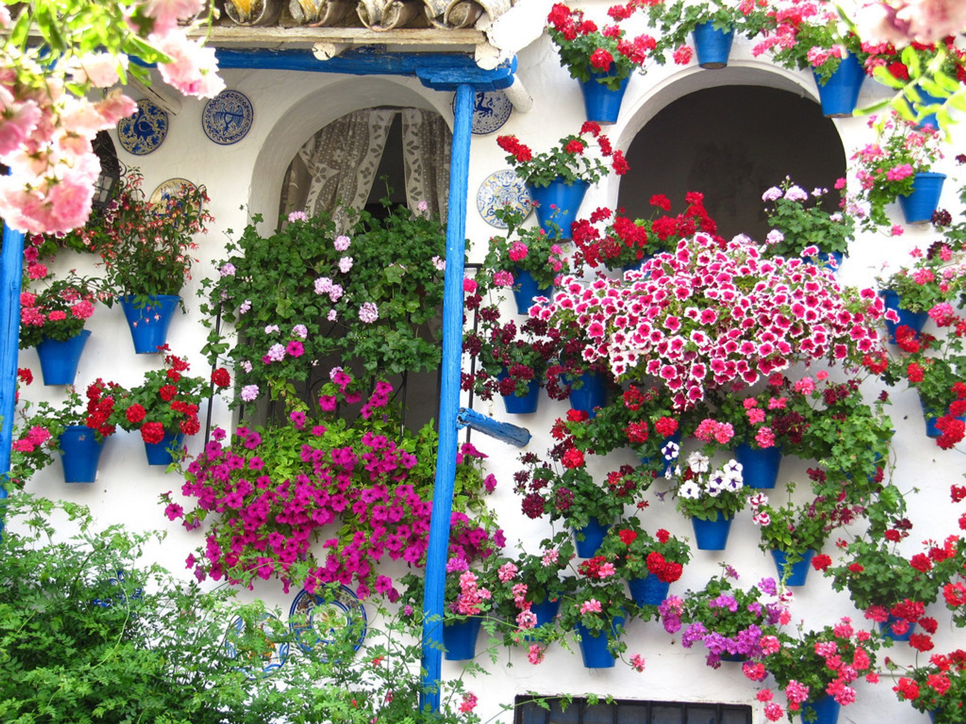 Festival du Patio de Córdoba 