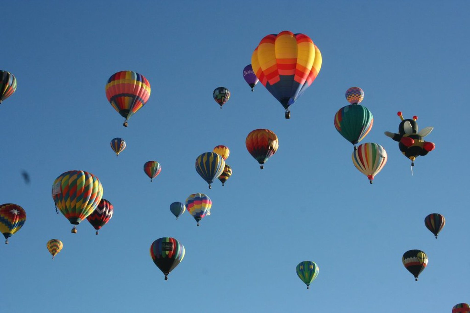 The Great Reno Balloon Race