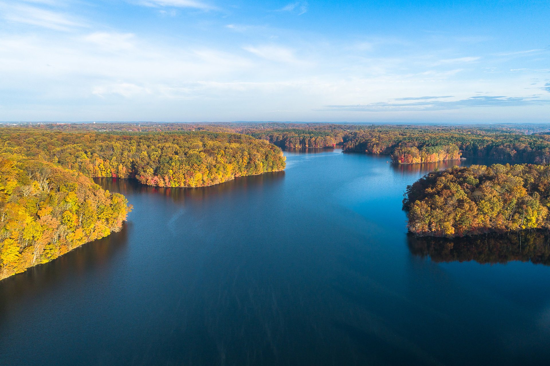 Baltimore Herbst Belaubung