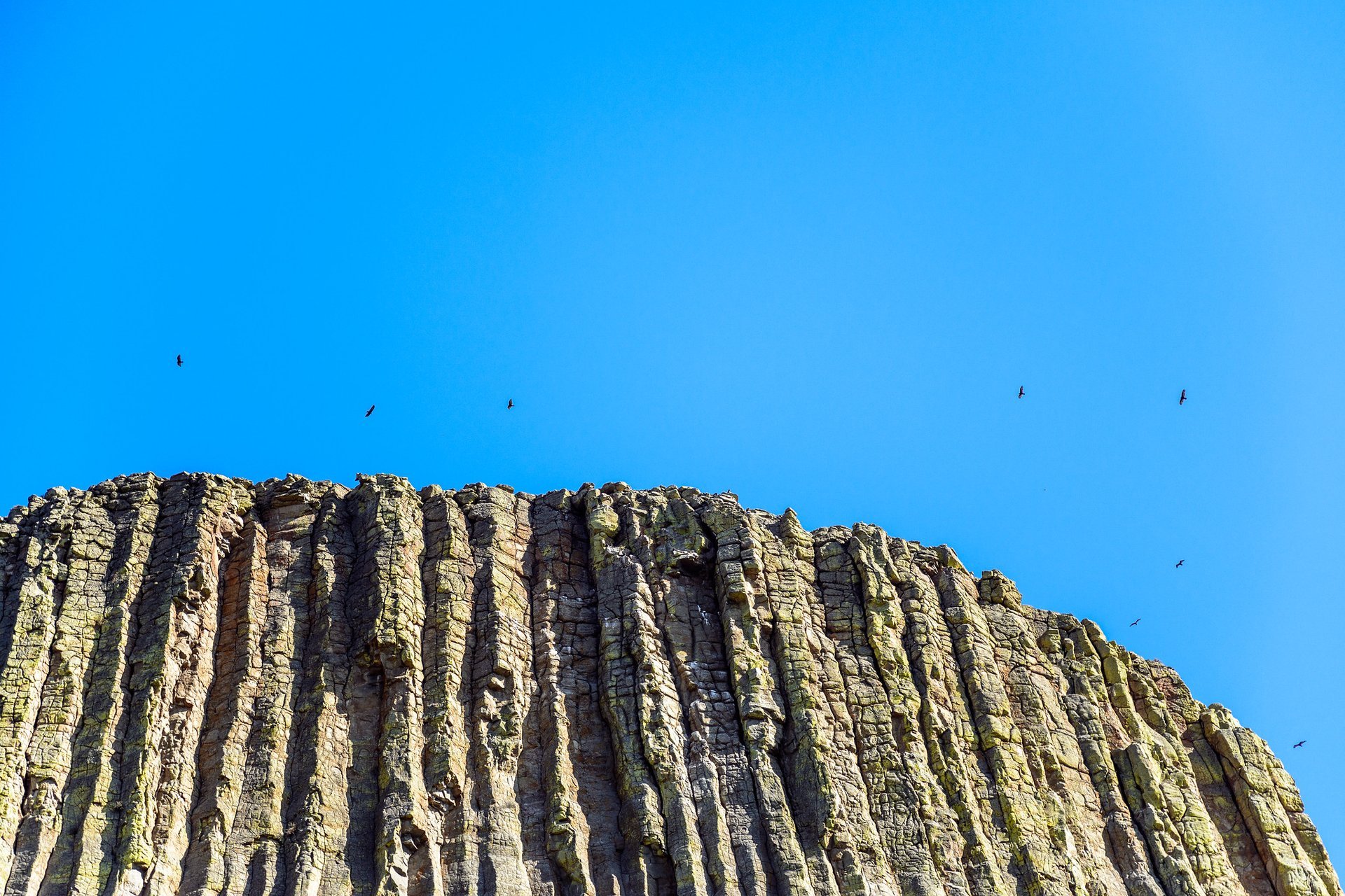 Escalade de Devils Tower