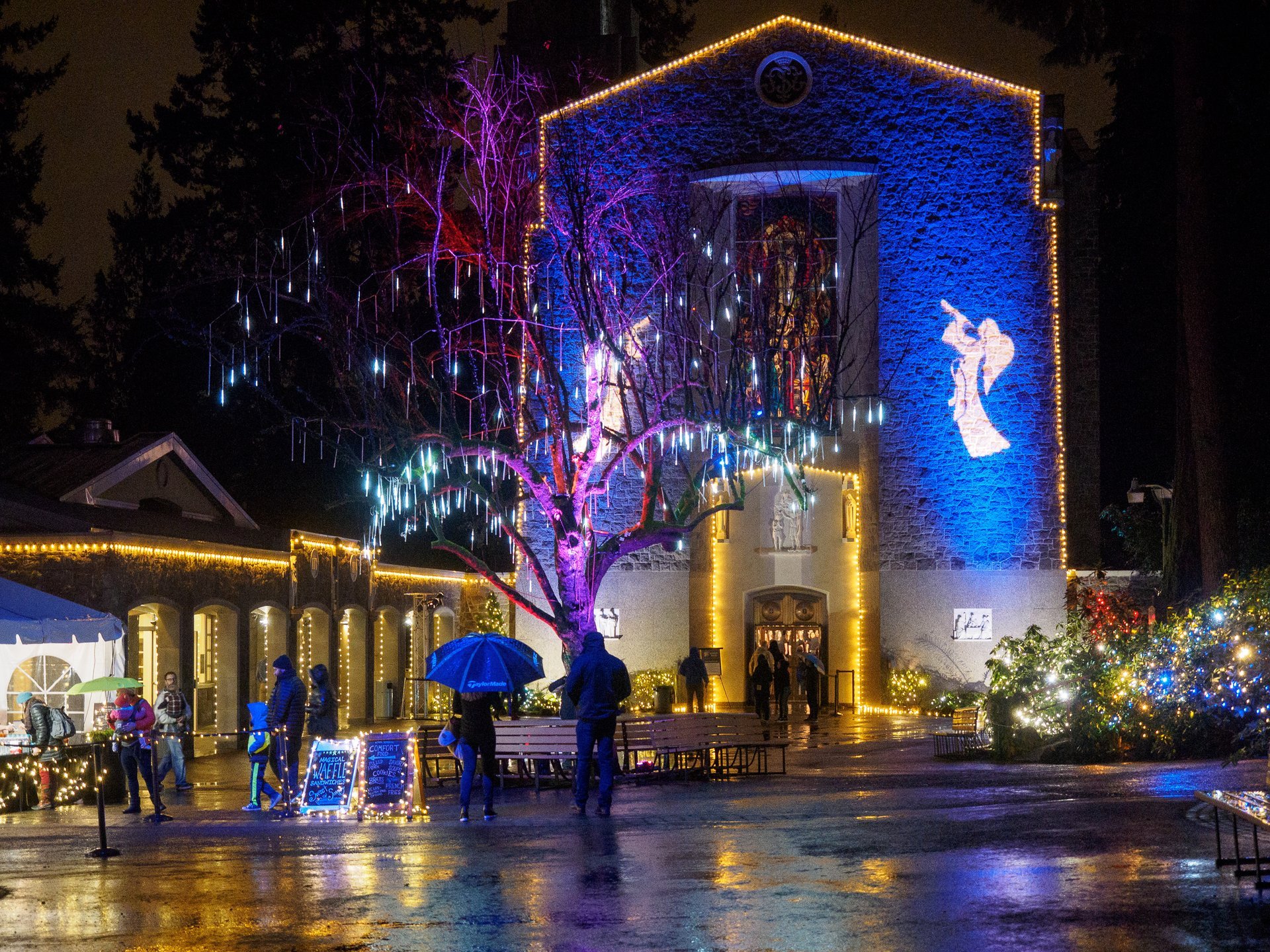 Walking tour of the Christmas holidays light display at Victoria