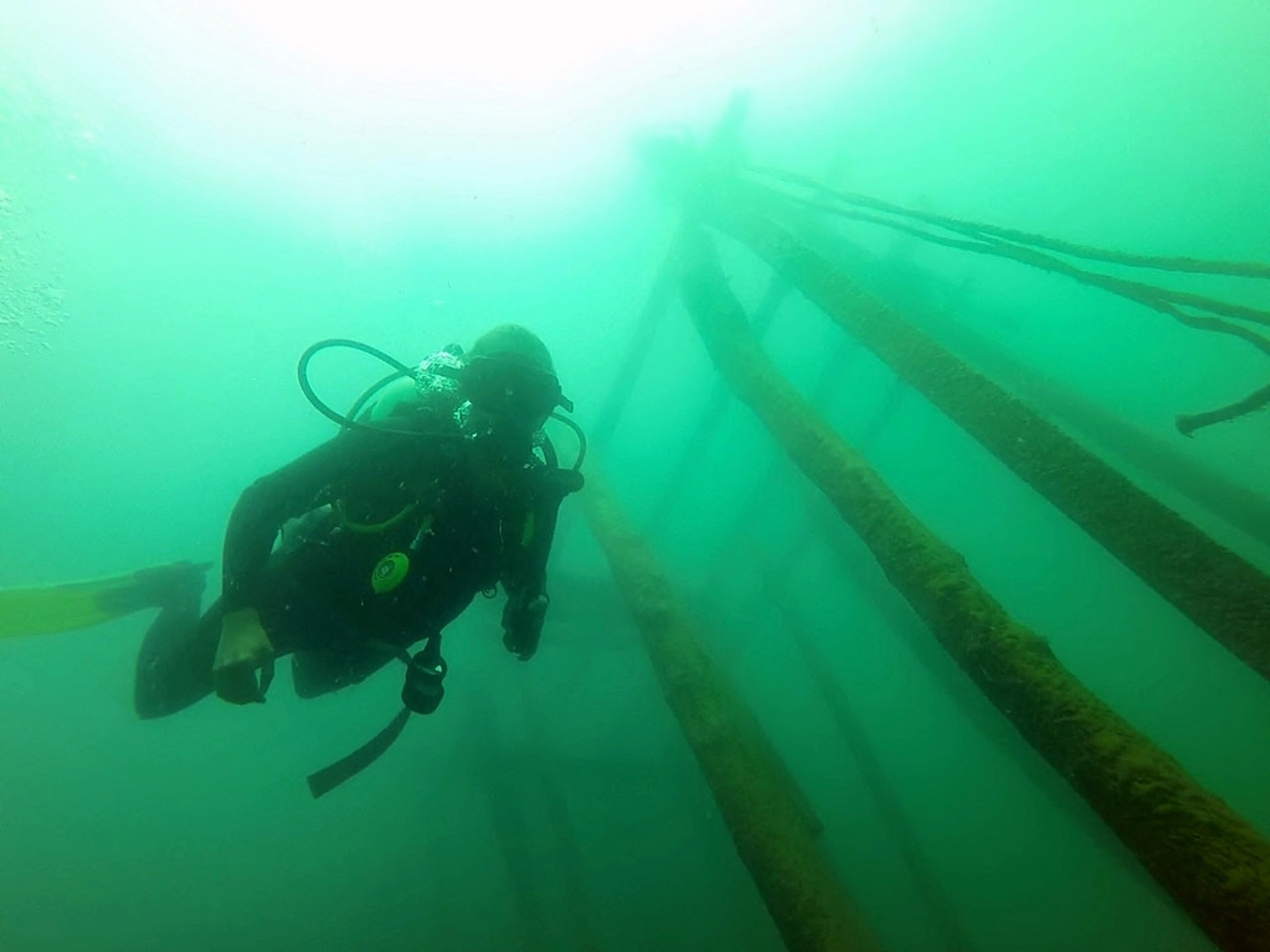 Plongée sous-marine