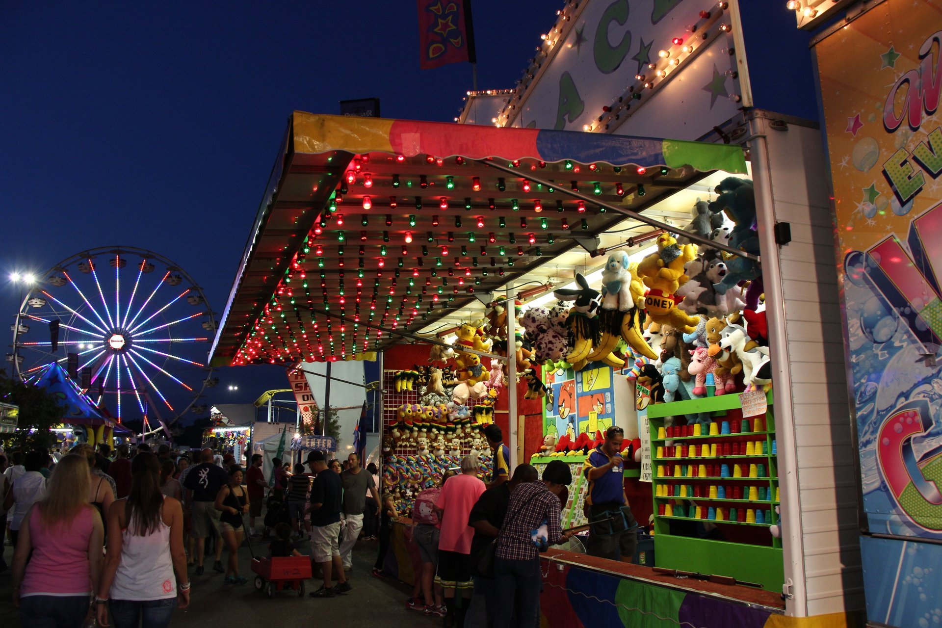 Virginia County Fairs 2025 Lona Sibeal