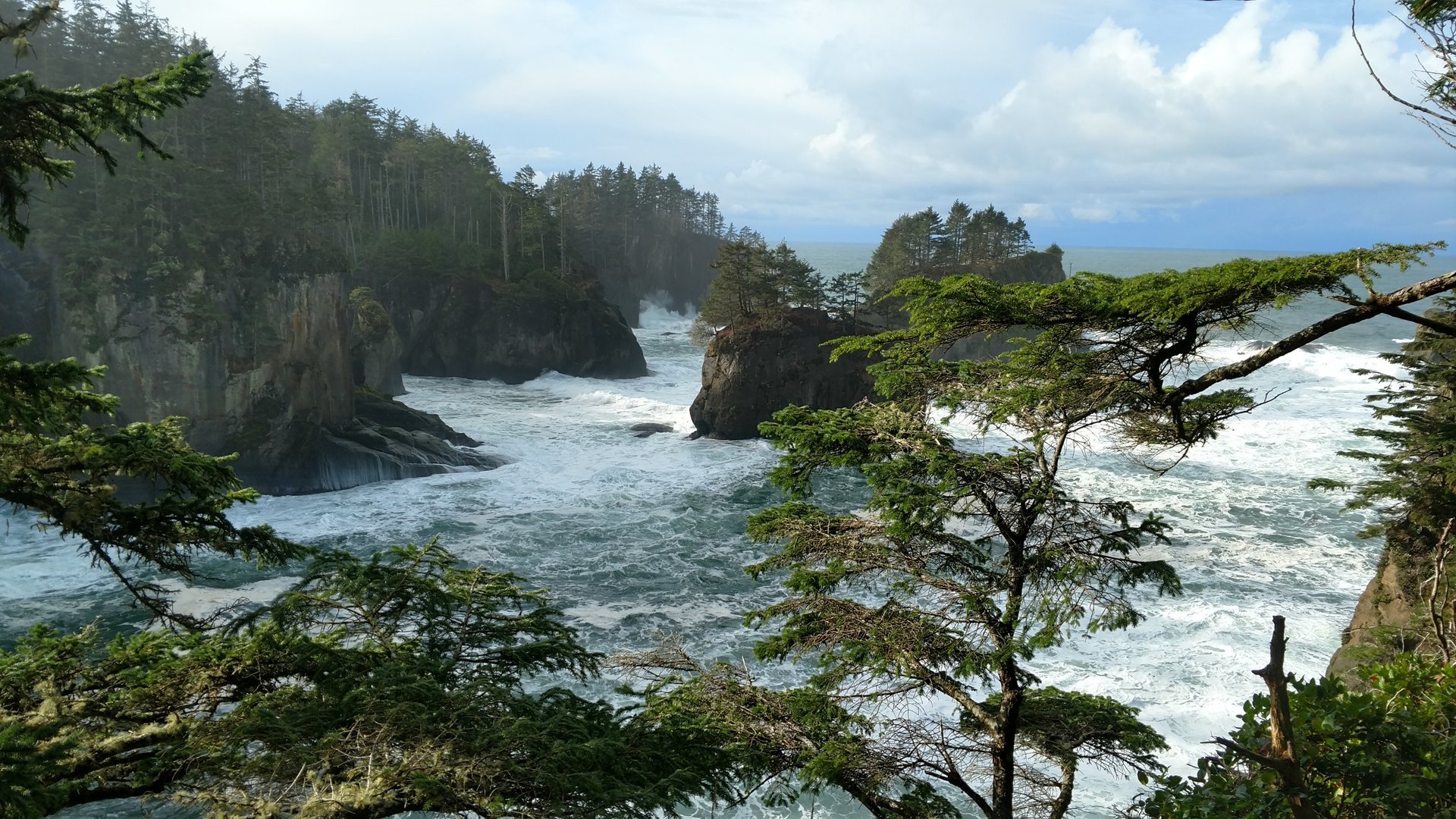 Olympic Peninsula Off-Season Day Hikes