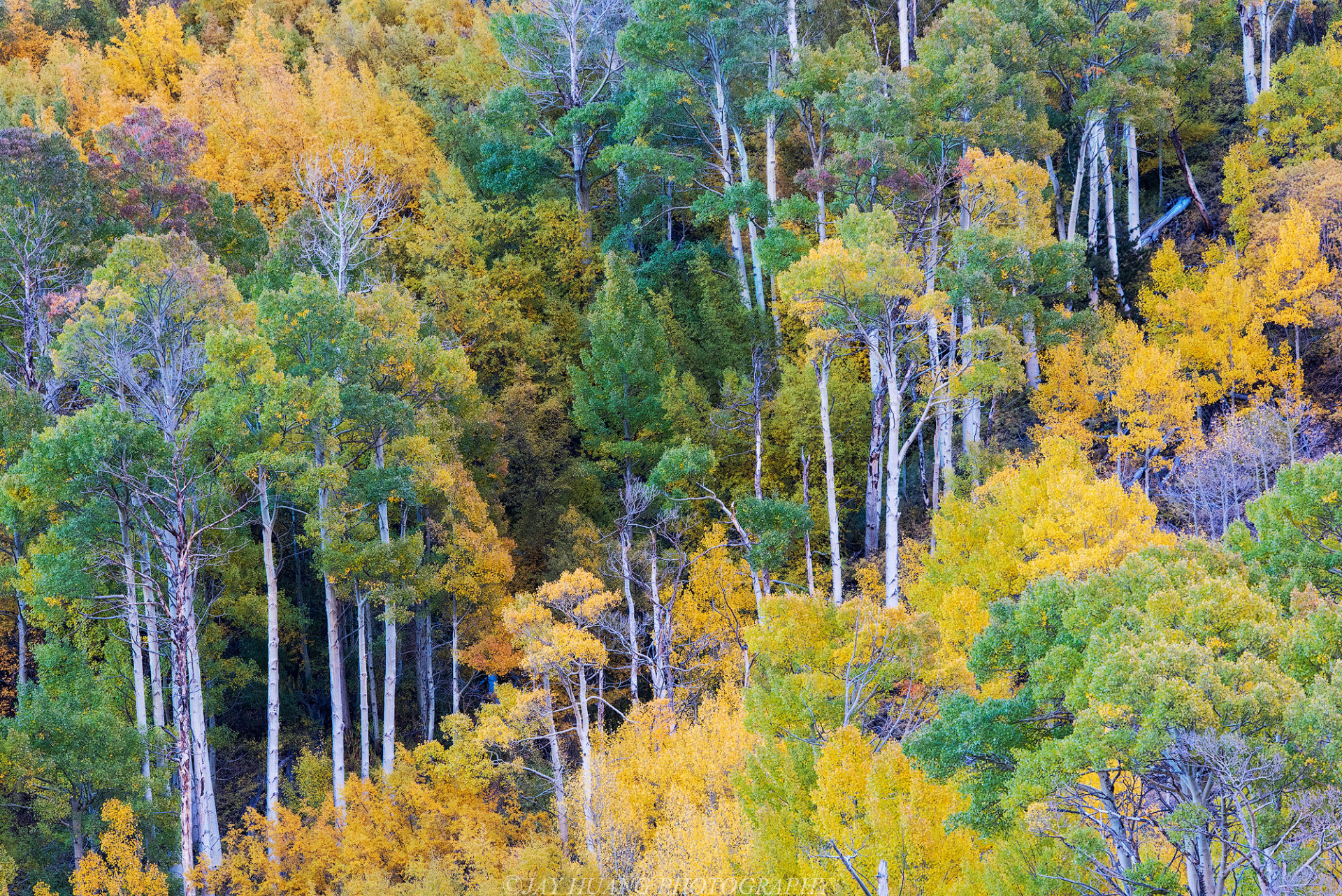 Deep Creek Lake Fall Foliage