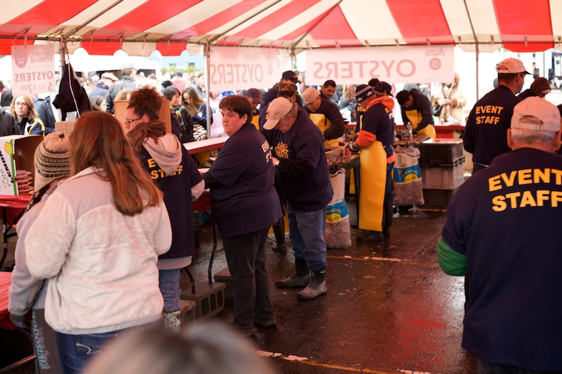 Oyster Festival 2023 in New York Rove.me