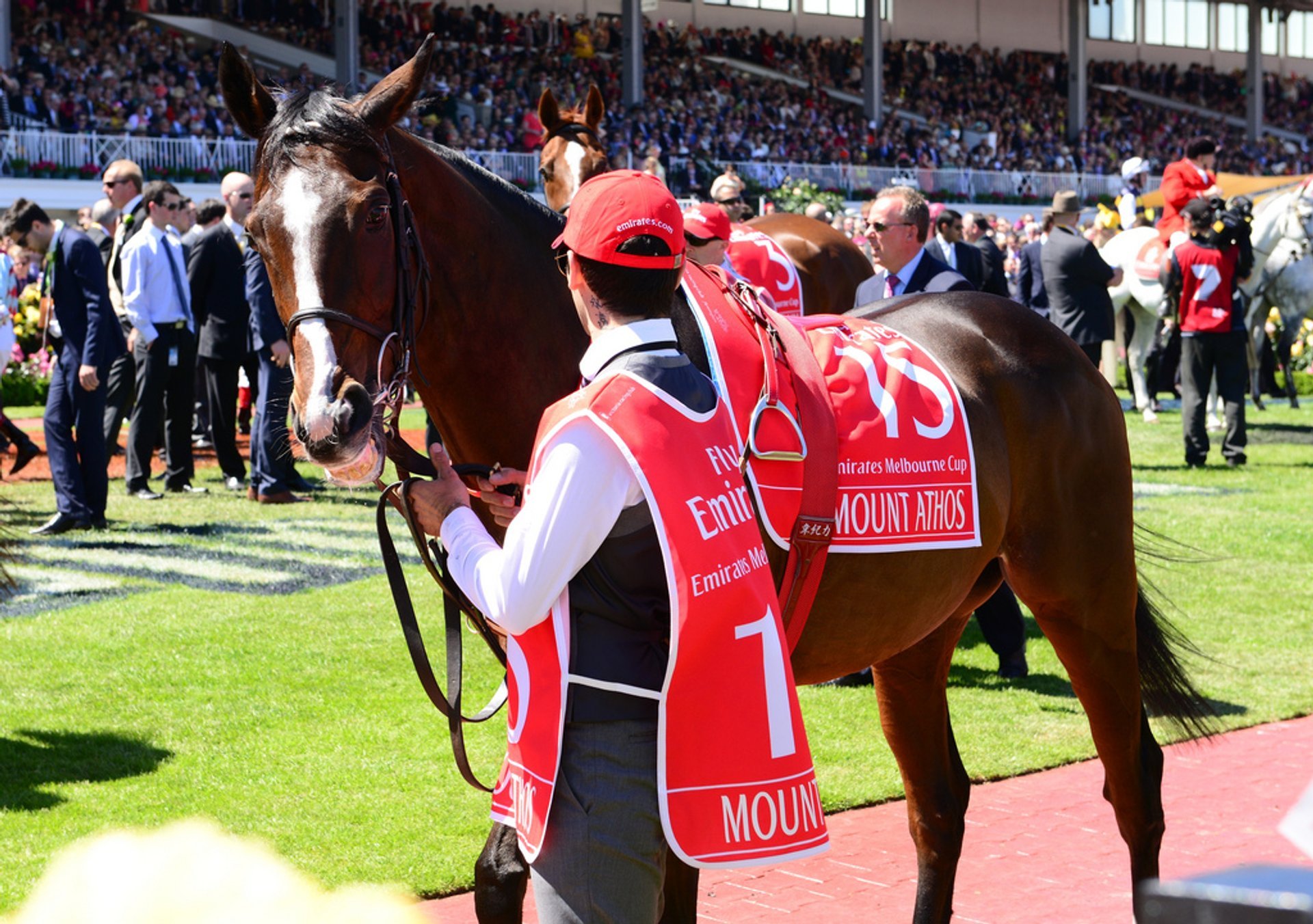 Melbourne Cup 2024 Dates