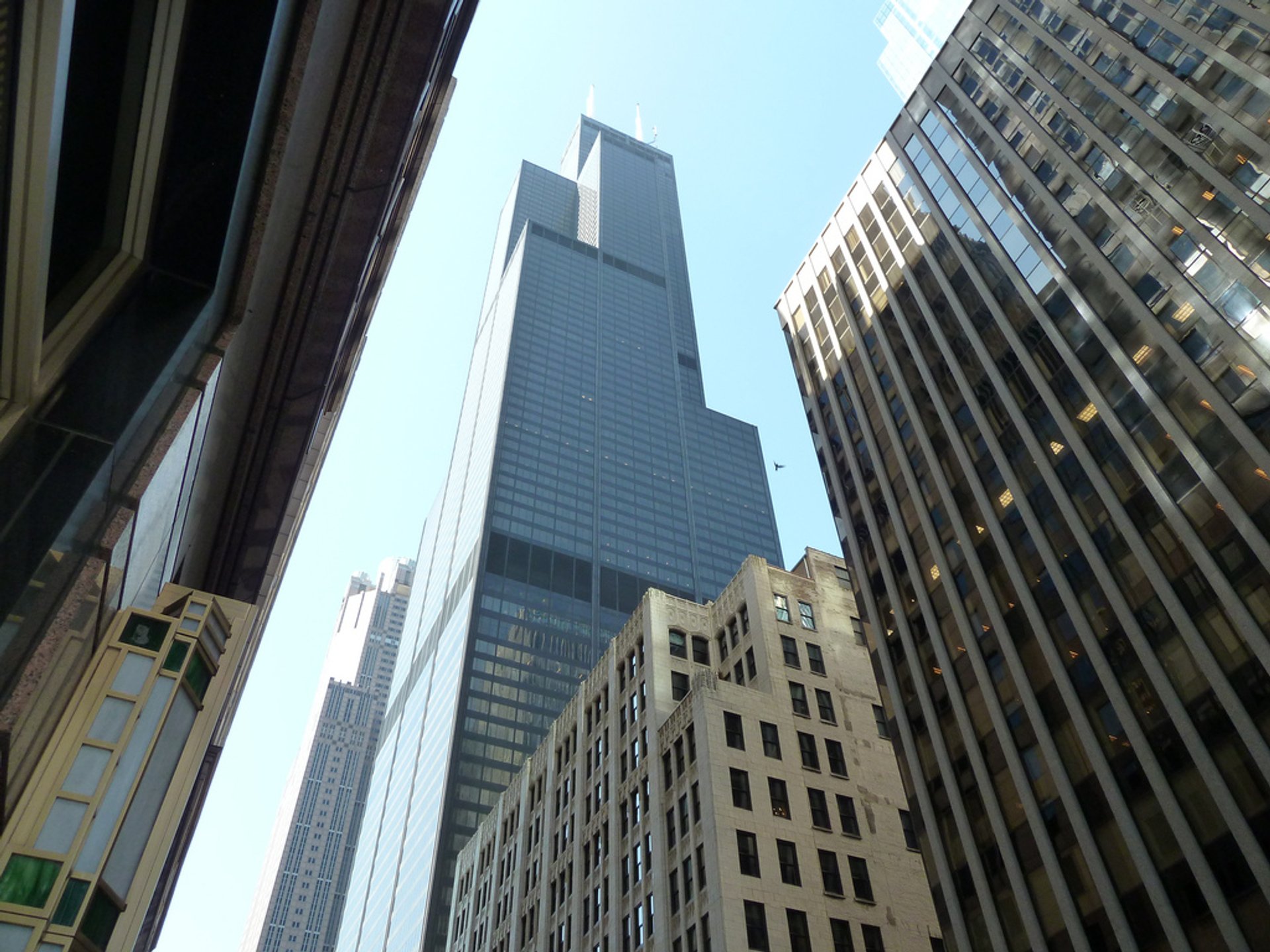 Willis Tower (Skydeck Chicago)