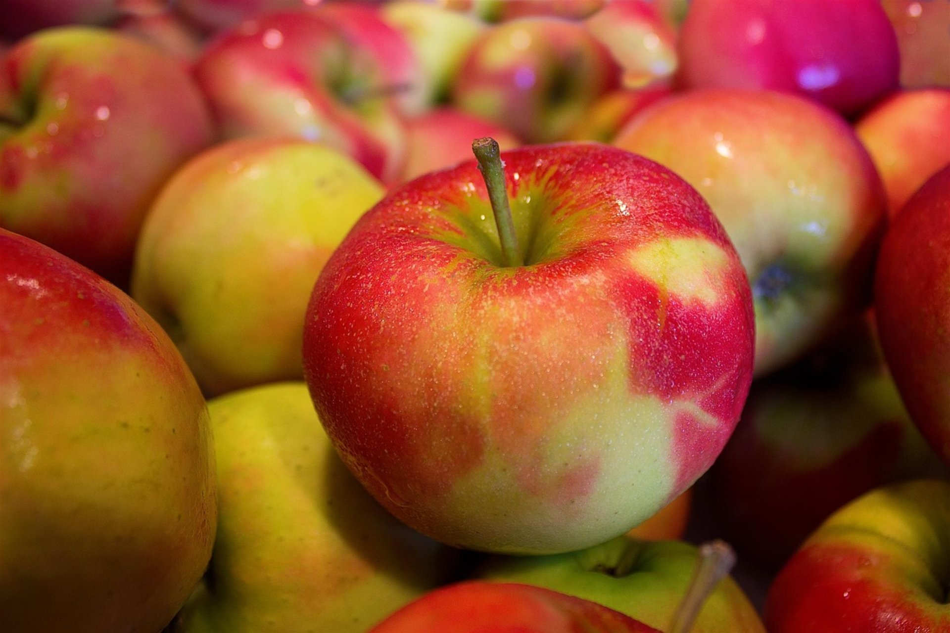 Tehachapi Apple Festival