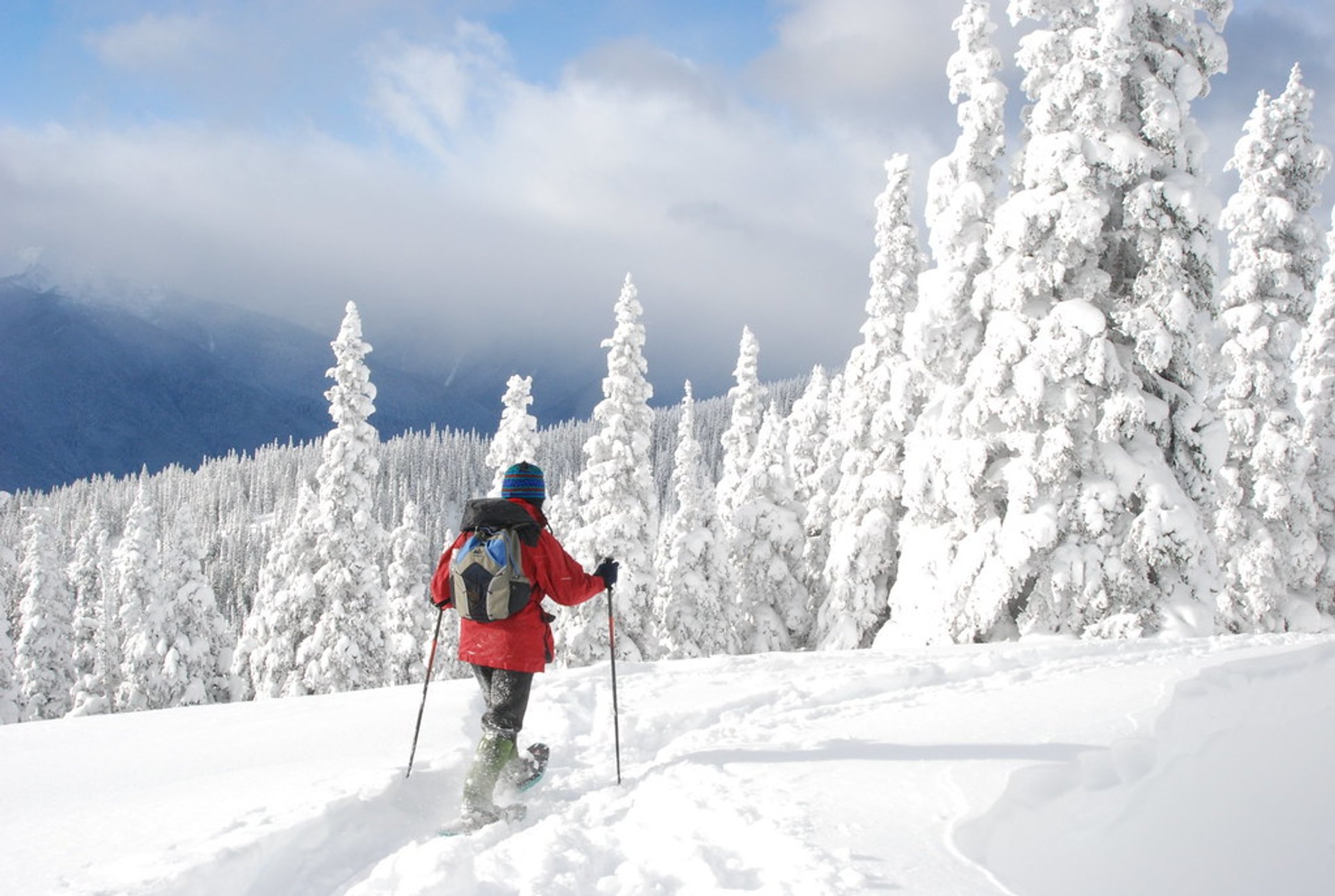 Winter Activities at Hurricane Ridge