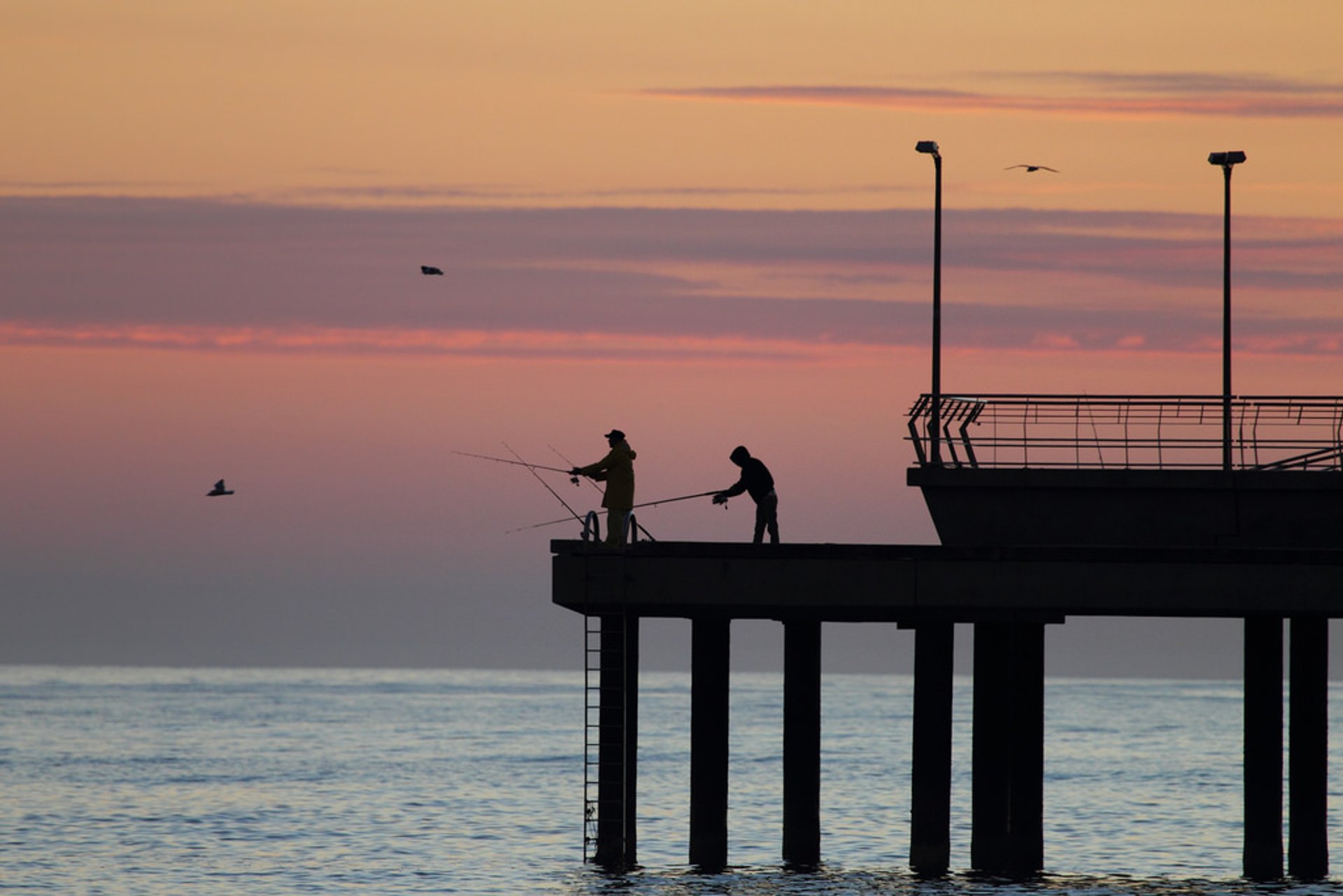 Pesca en la región de Gippsland