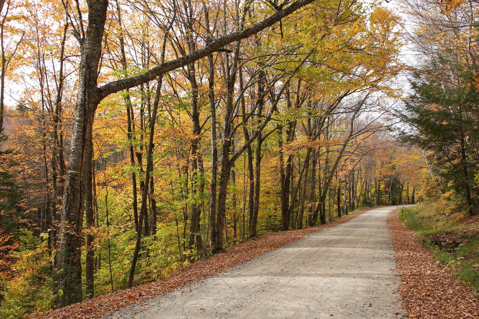 Tripoli Road