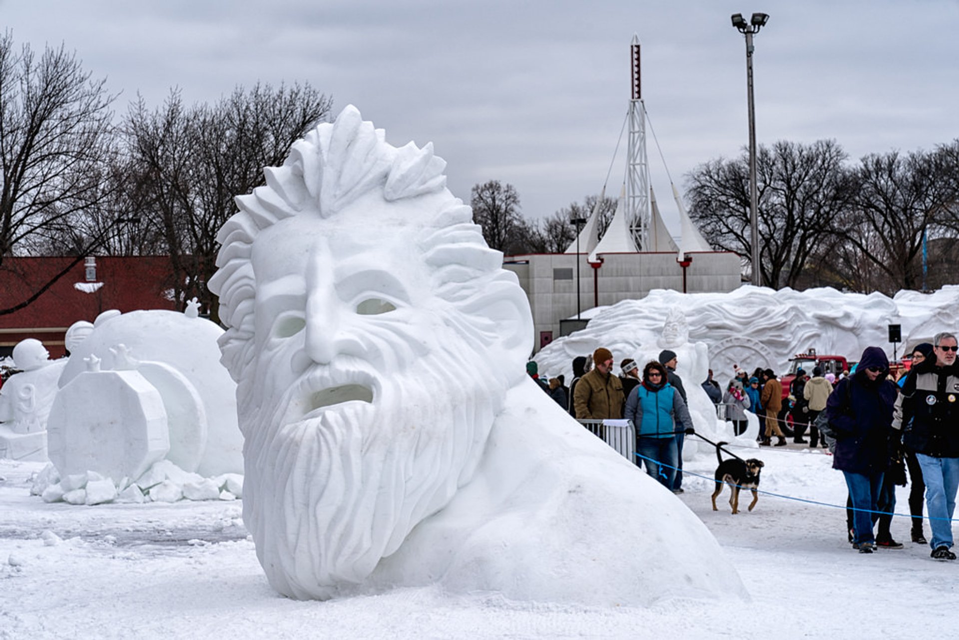 Saint Paul Winter Carnival Ice Carvings January 24