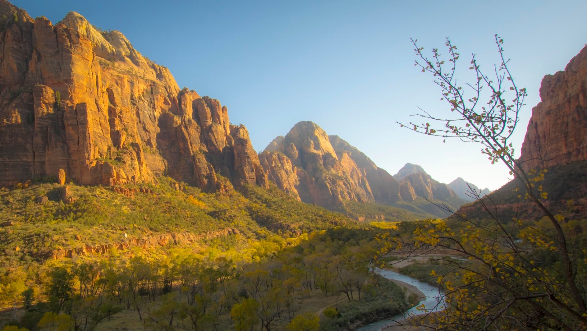 Les couleurs d'automne du parc national de Zion