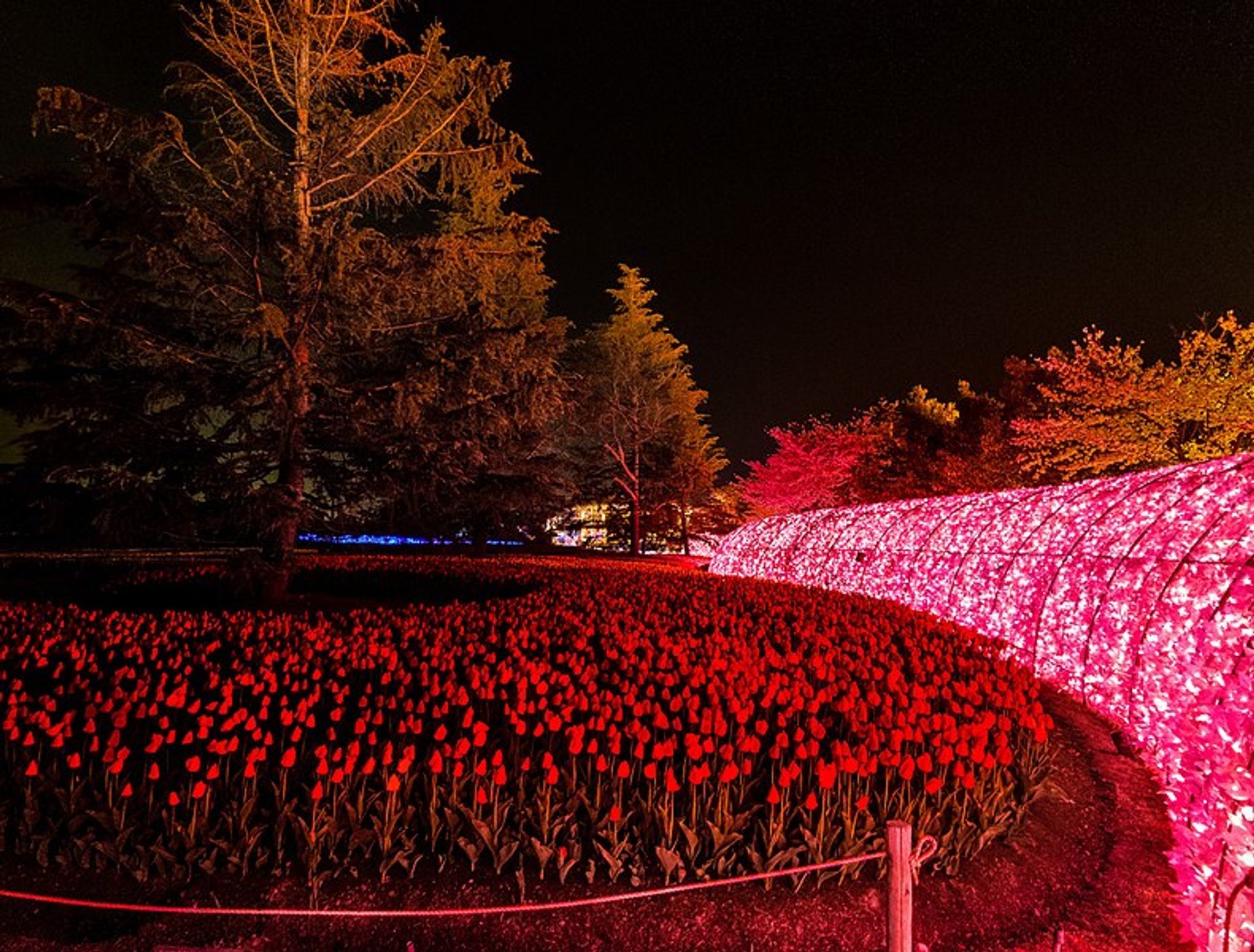 Illumination hivernale de Nabana No Sato