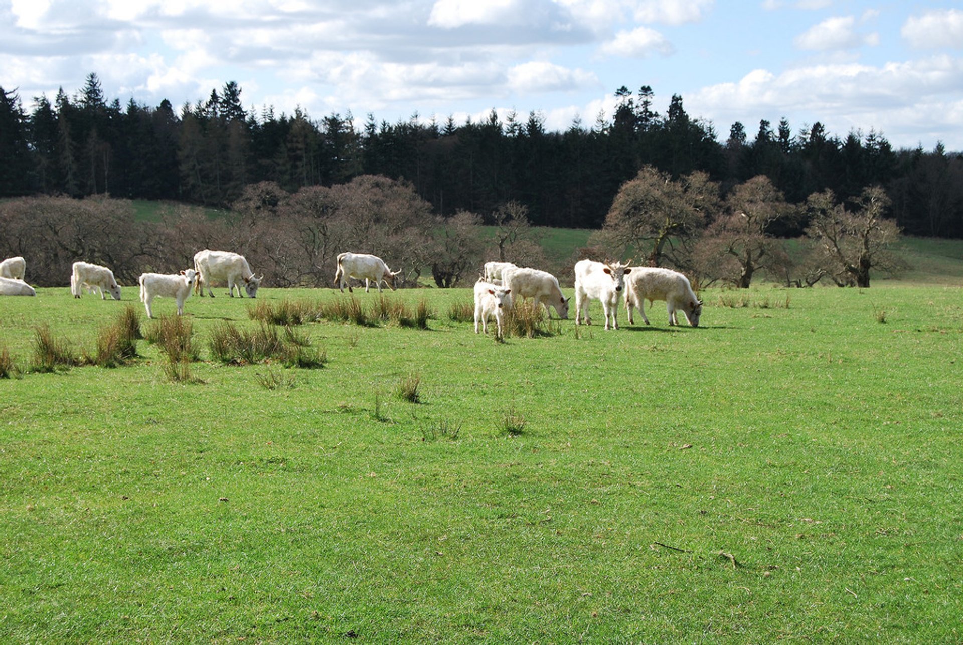 Castelo de Chillingham