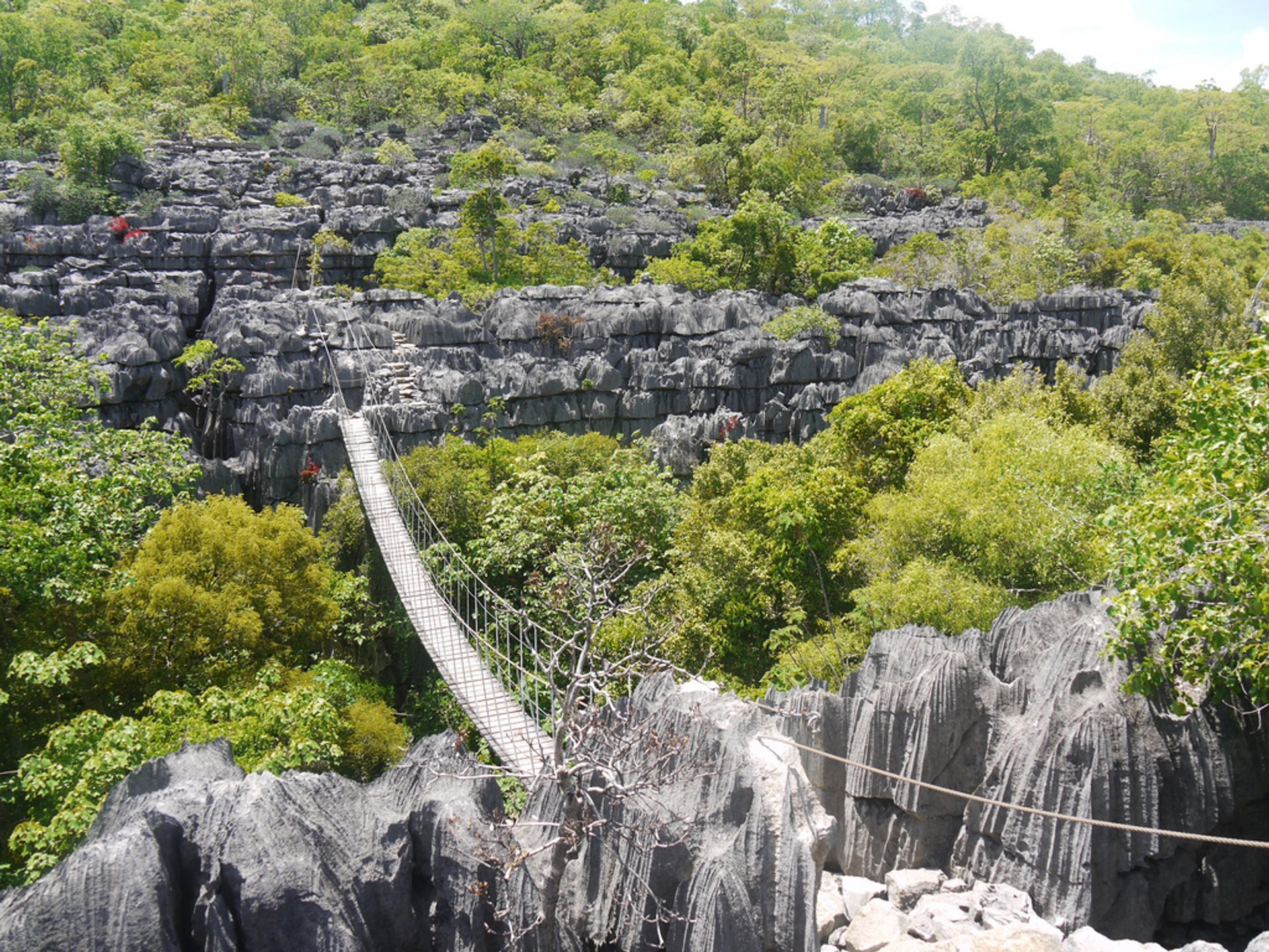 Suspension Bridges