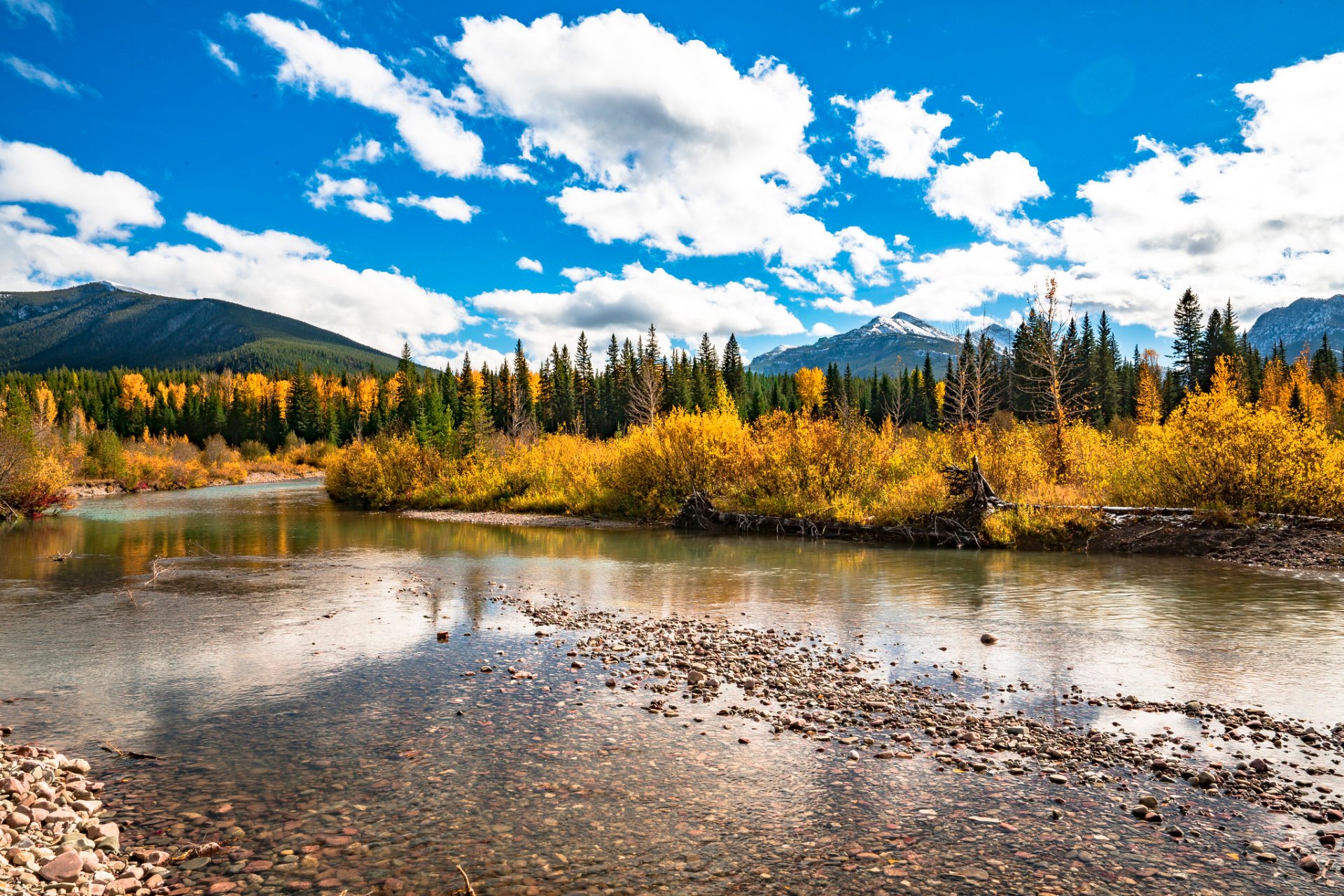 Montana Herbstlaub