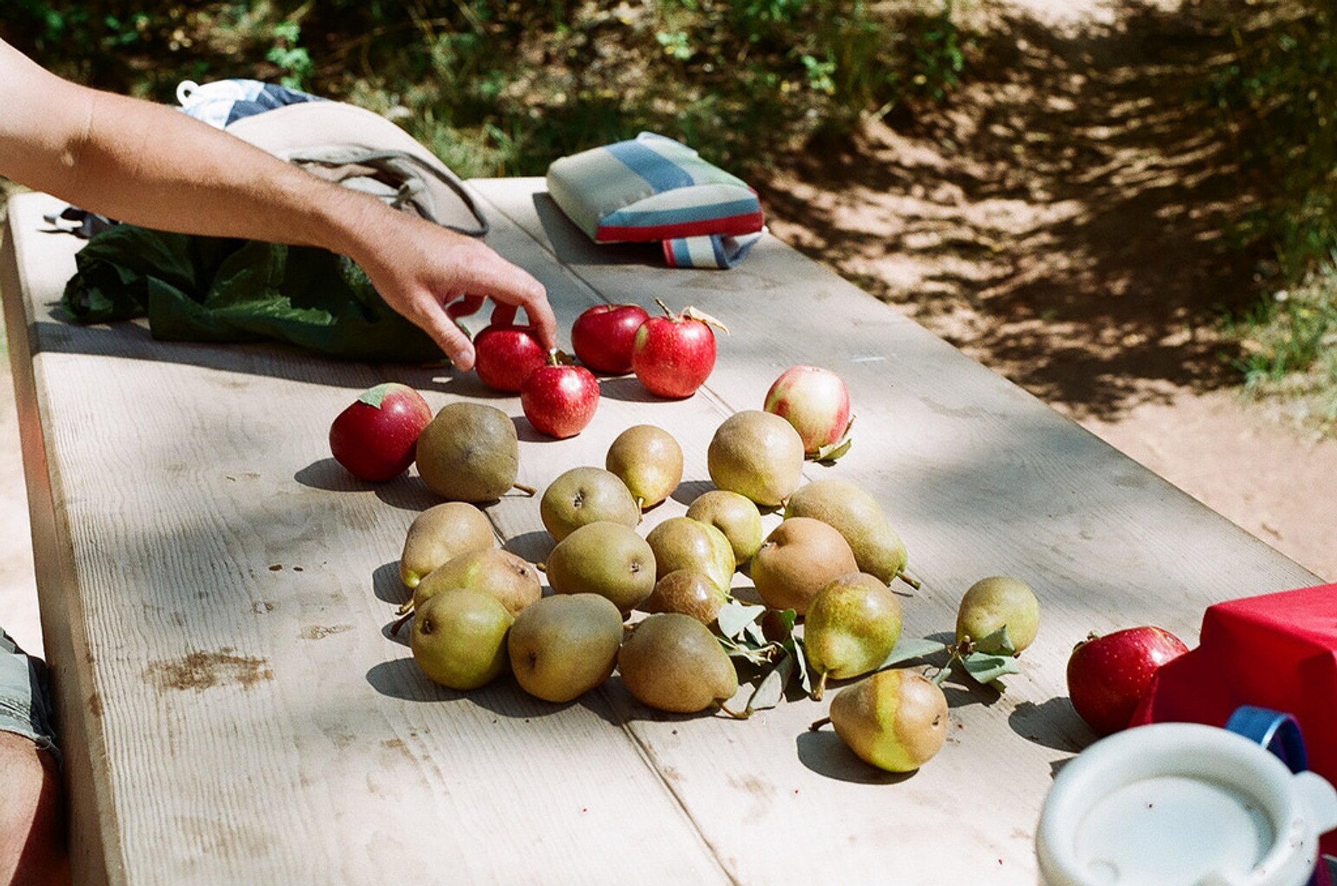 Capitol Reef Orchards