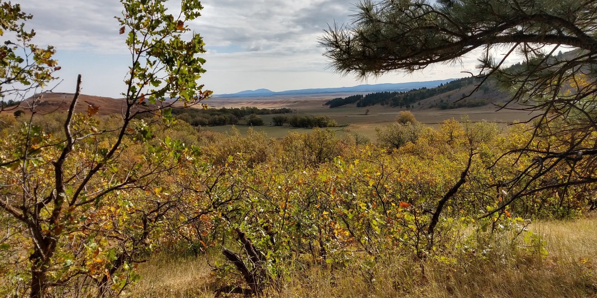 Couleurs d'automne