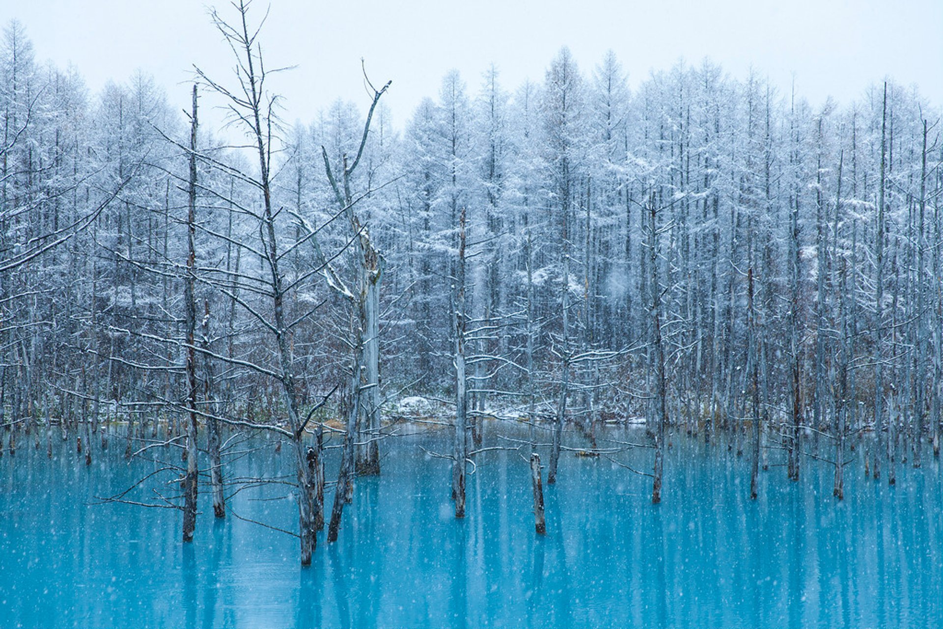 Magia invernale di Biei Blu stagno