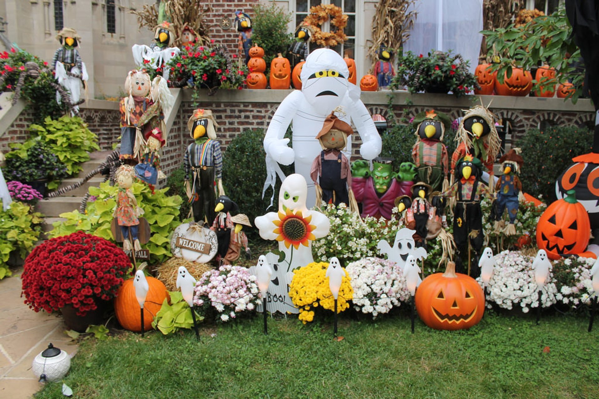 Calabazas de otoño