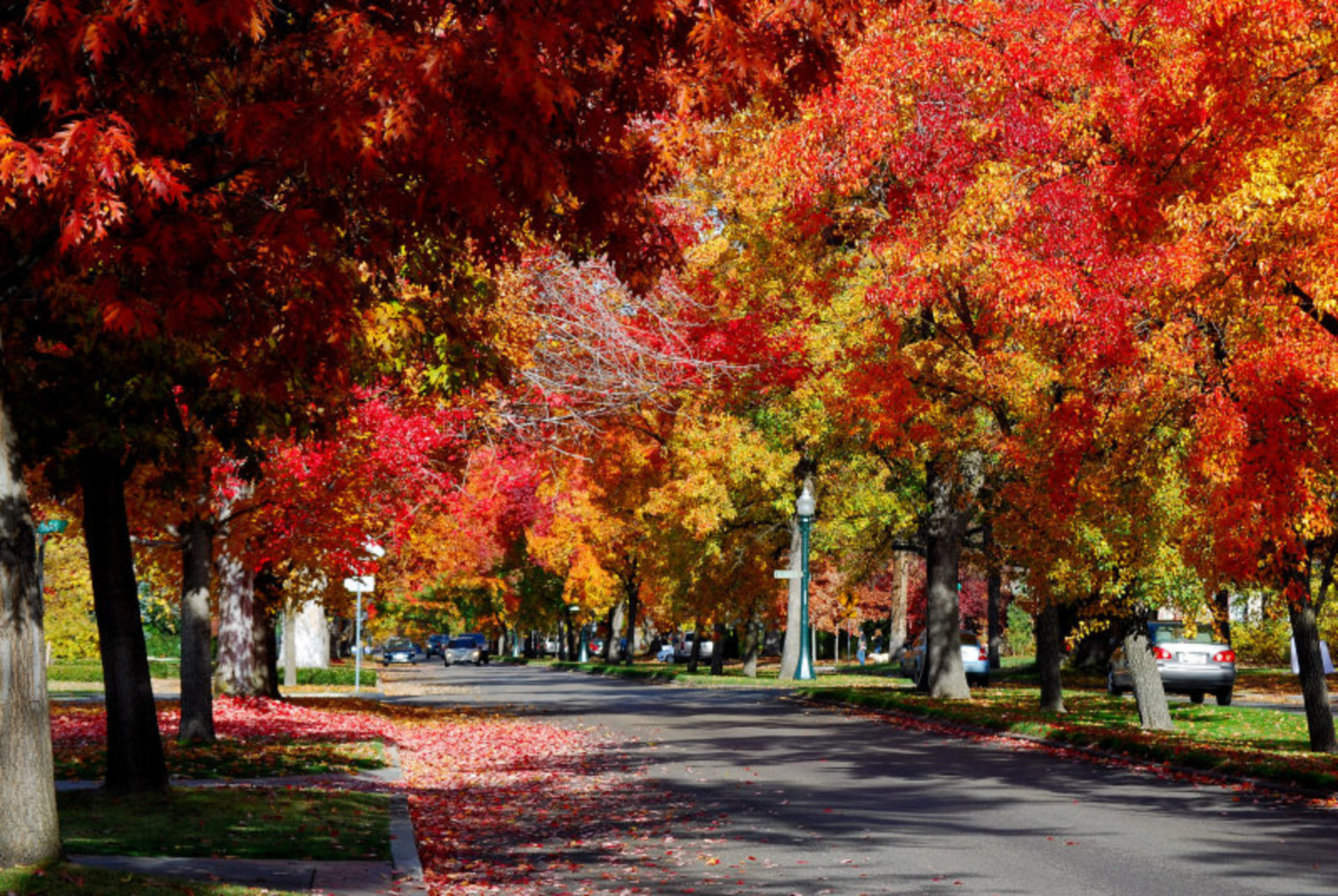 Colori autunnali dell'Idaho