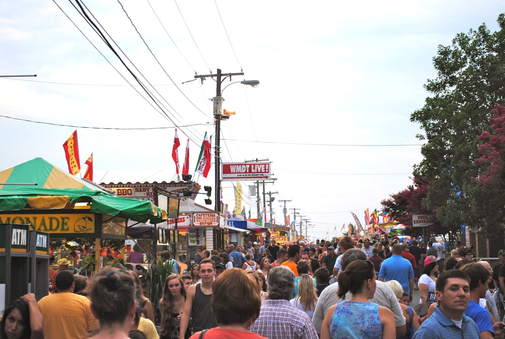 Feira Estadual de Delaware