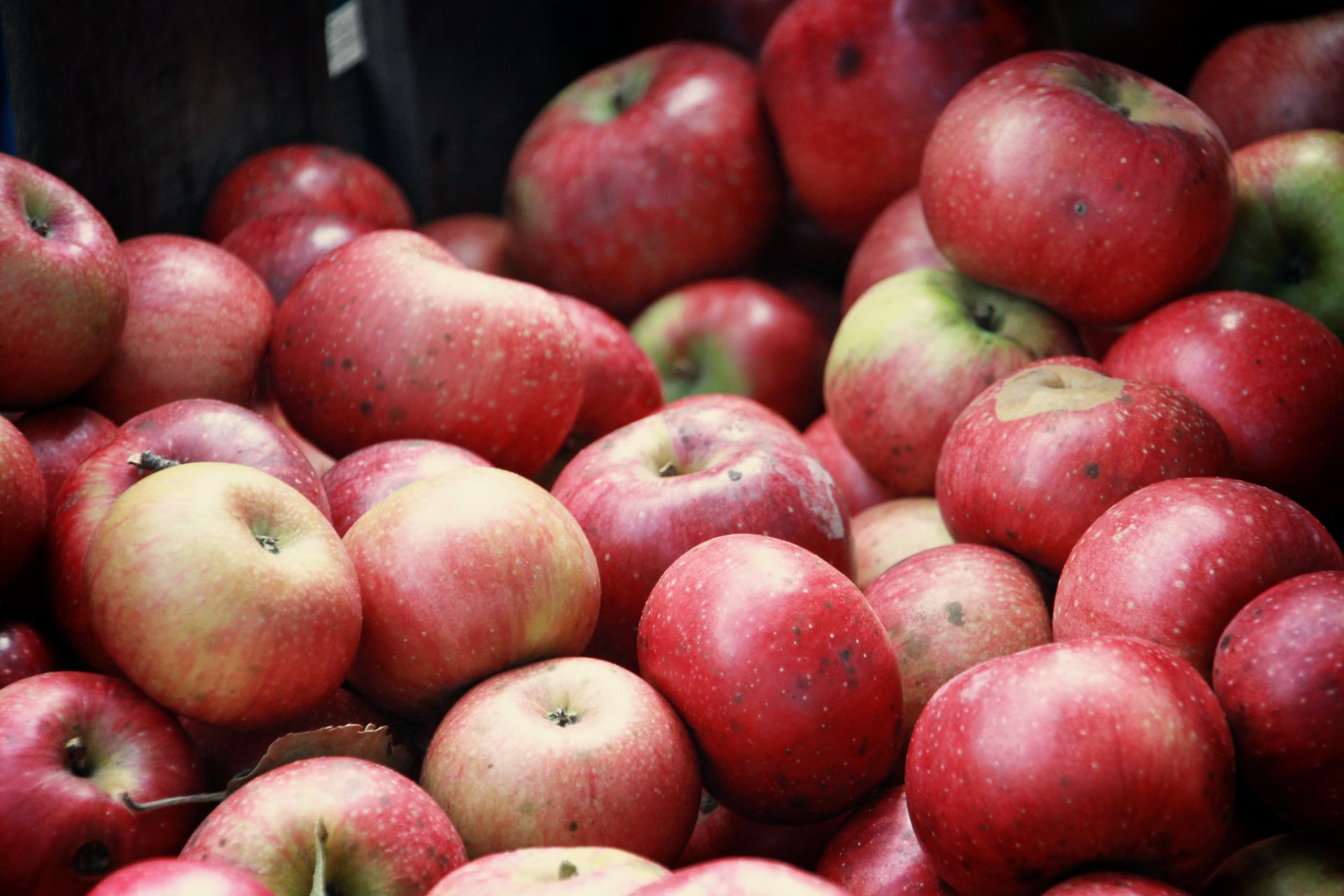 Graves Mountain Apple Festival